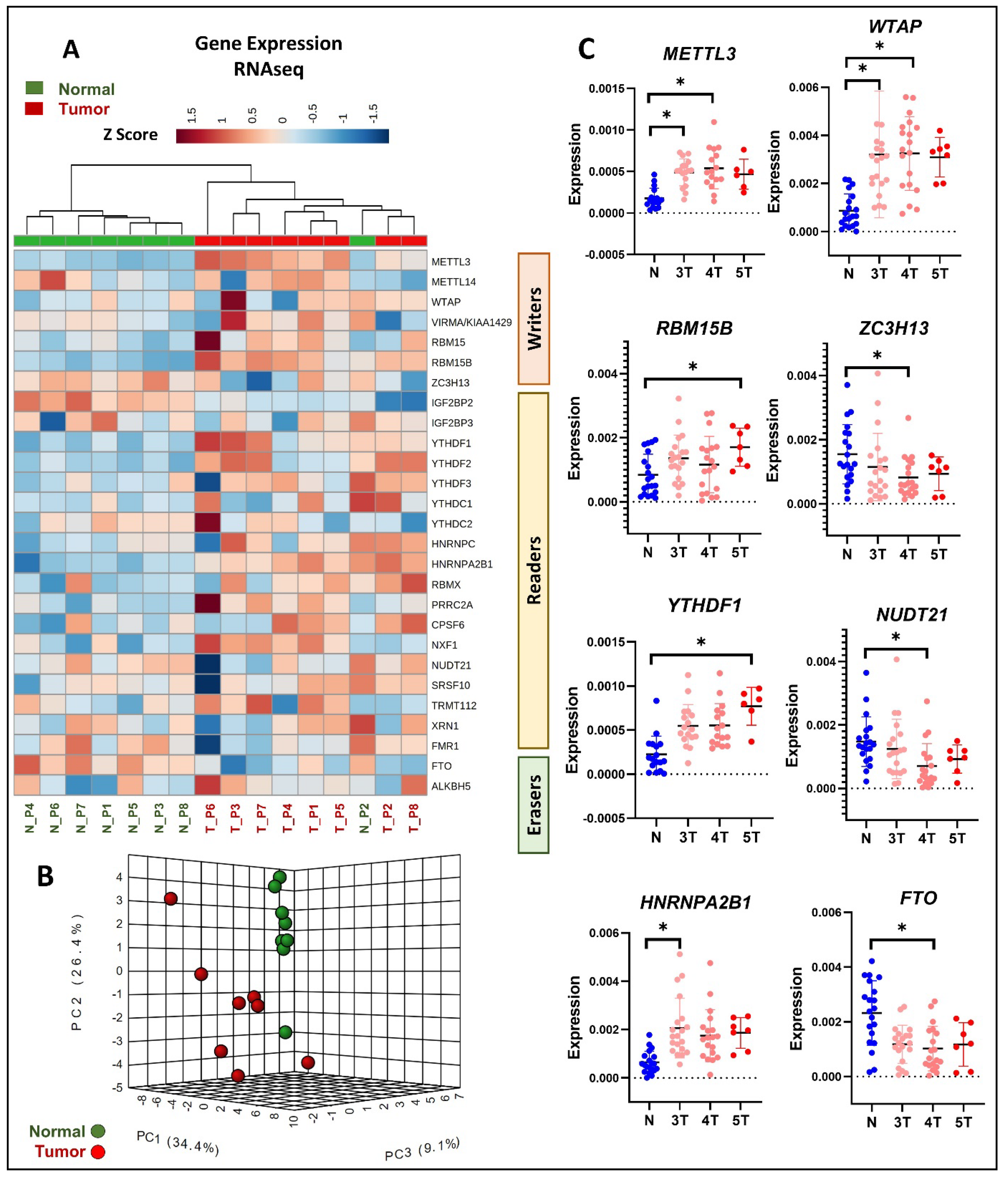 Cancers 16 01303 g003