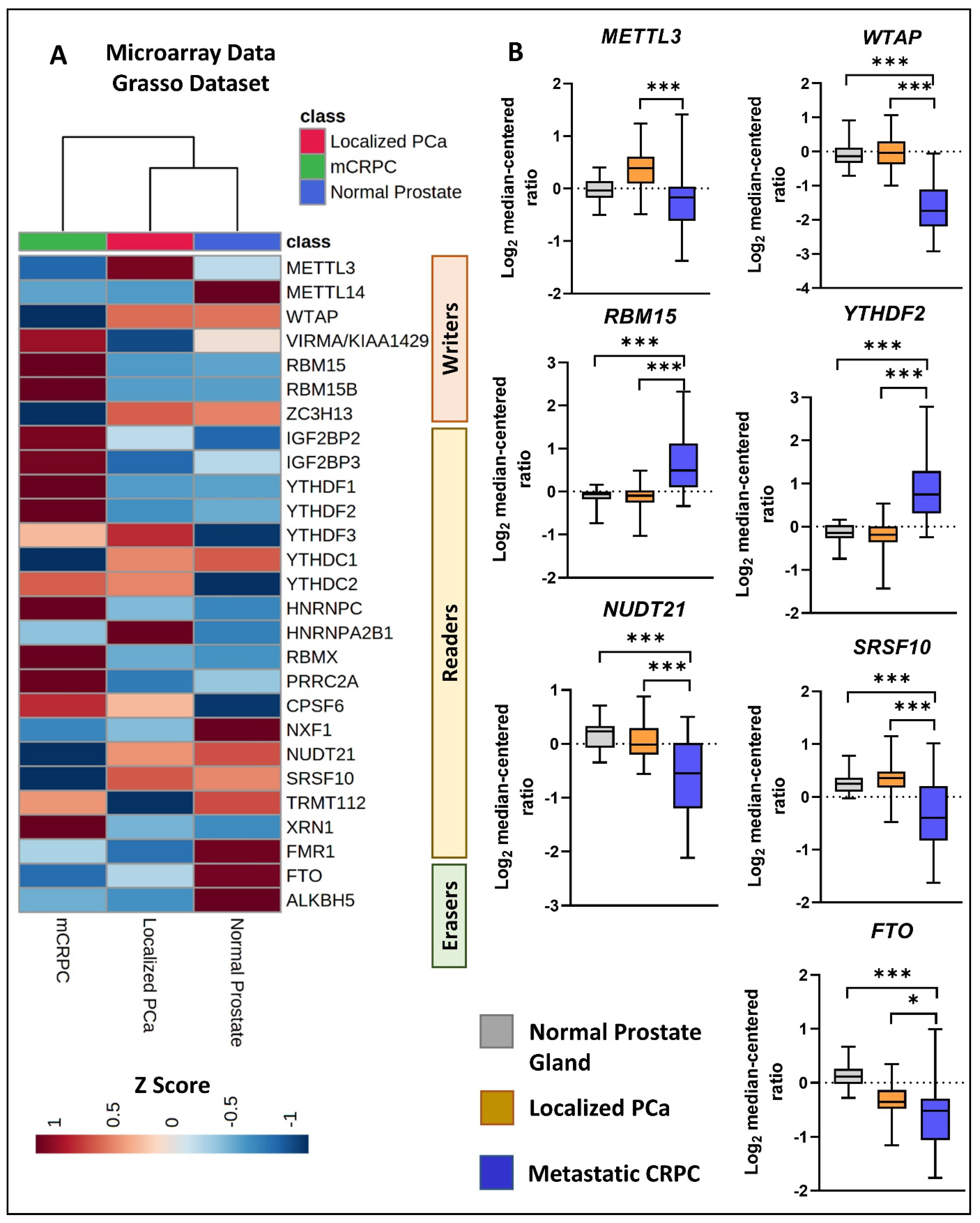 Cancers 16 01303 g004