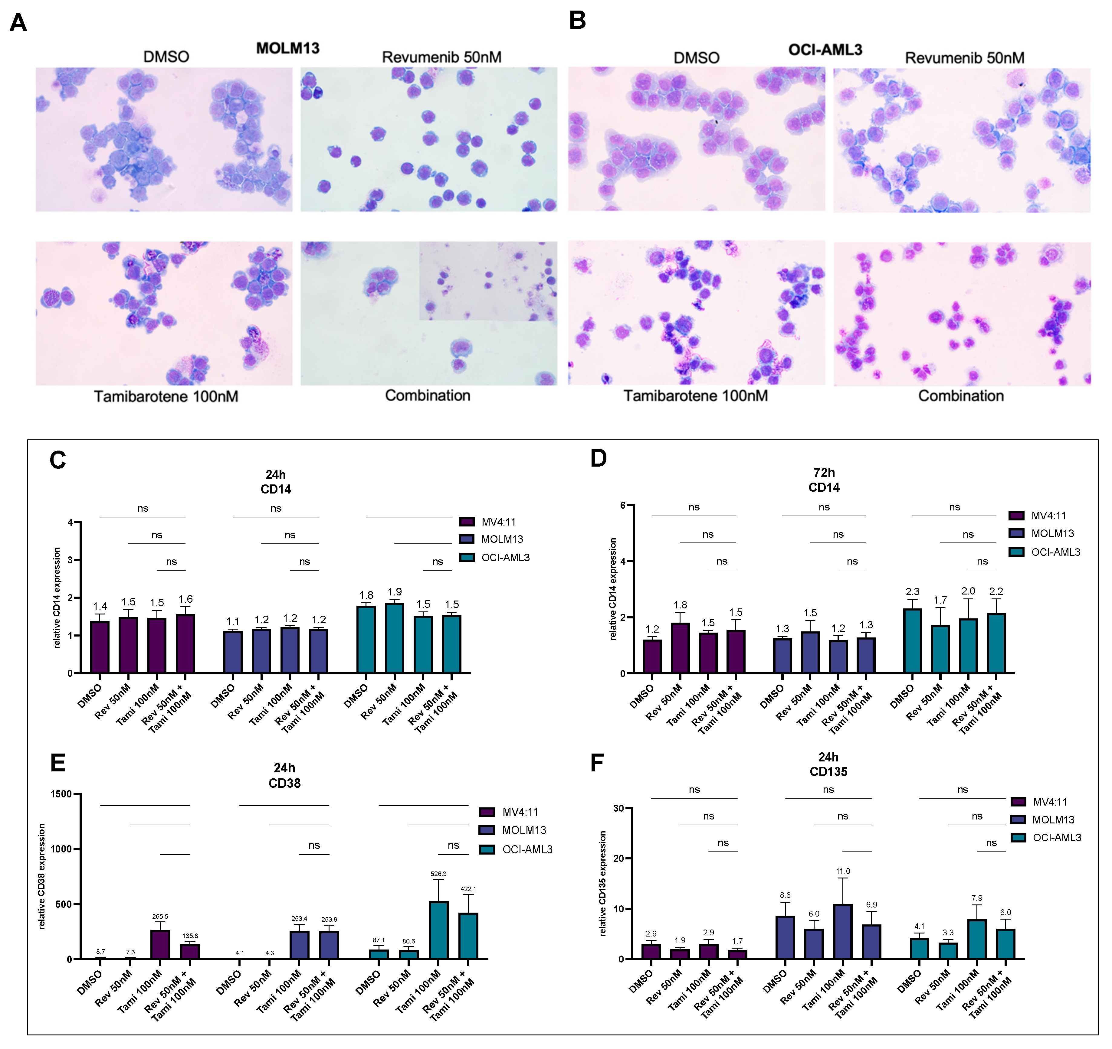 Cancers 16 01311 g003