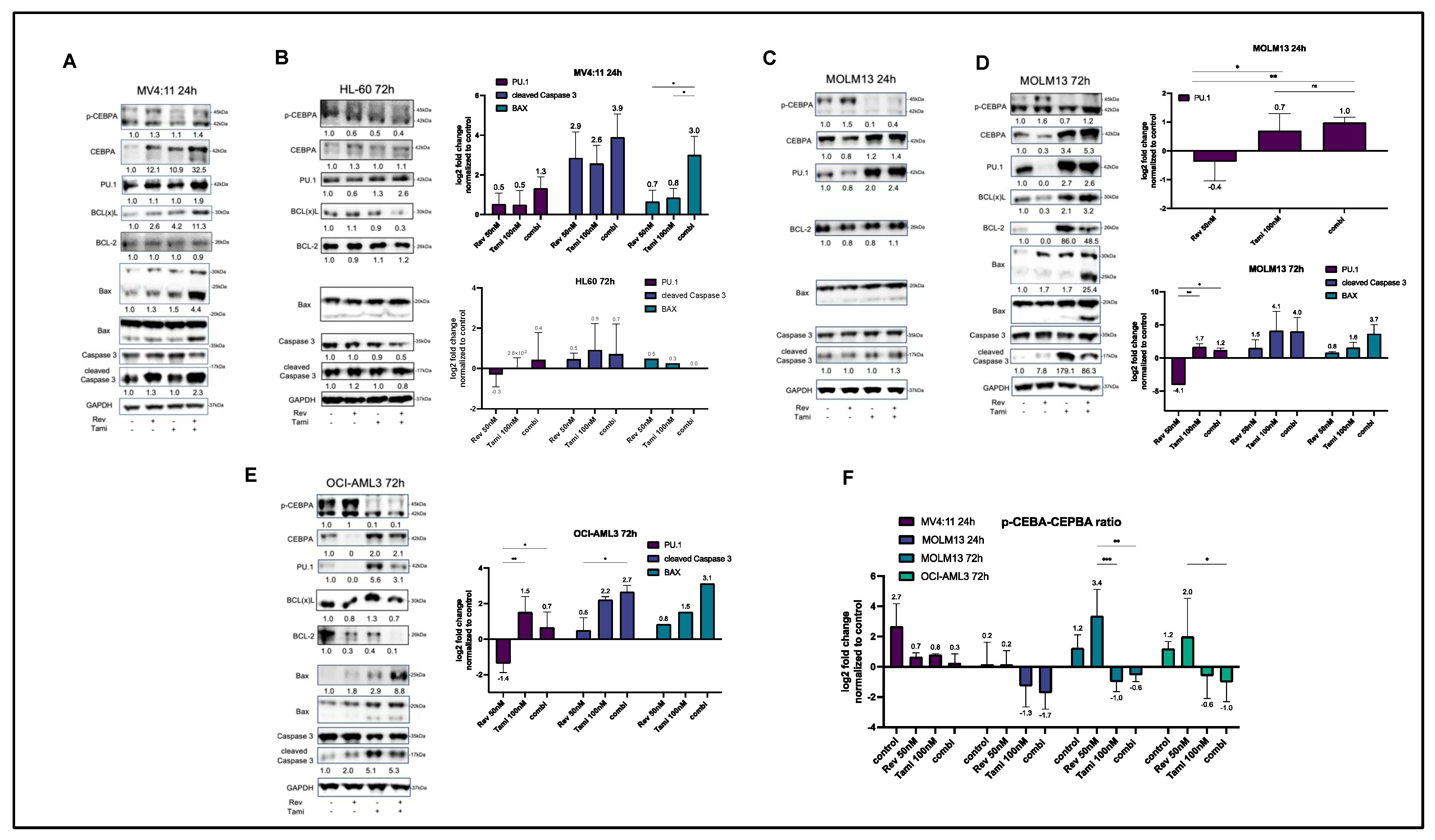 Cancers 16 01311 g004
