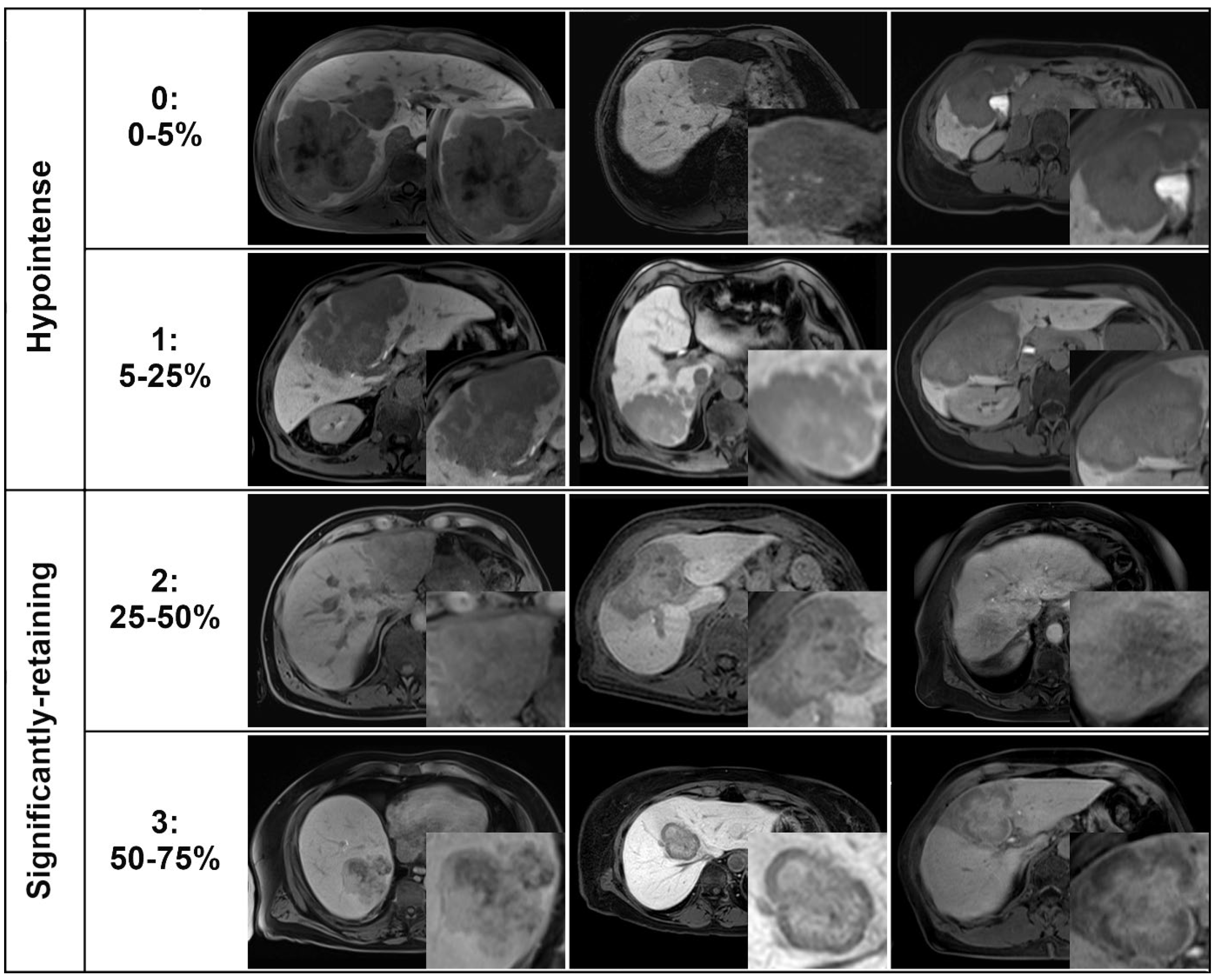 Cancers 16 01314 g001