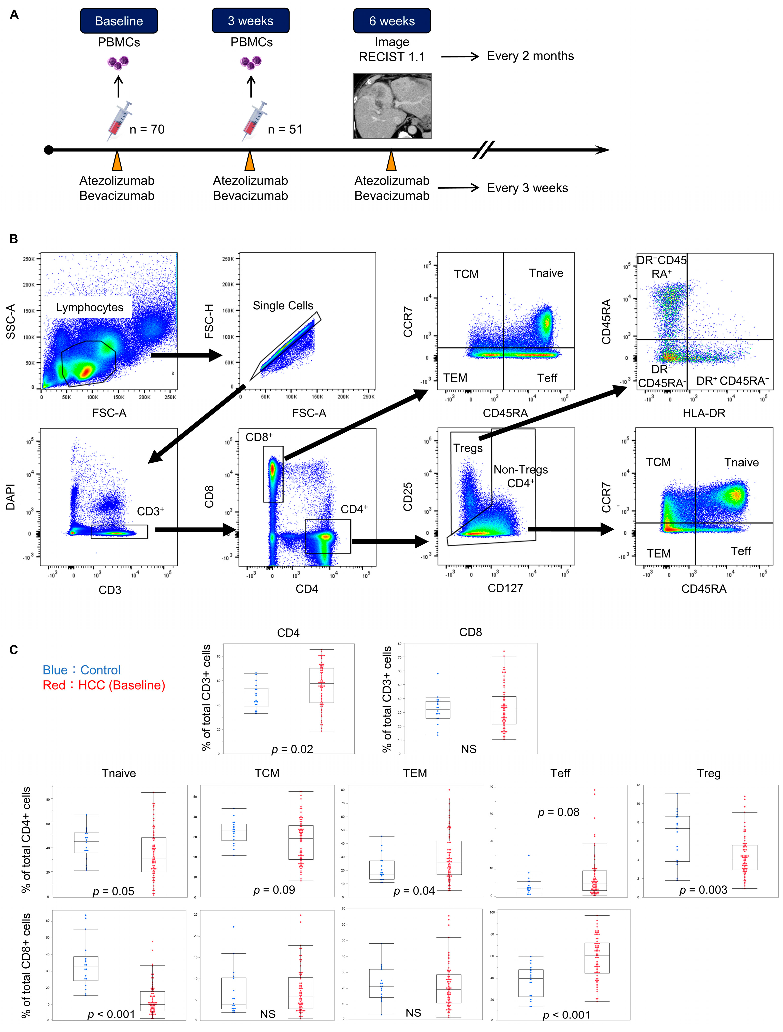 Cancers 16 01328 g001