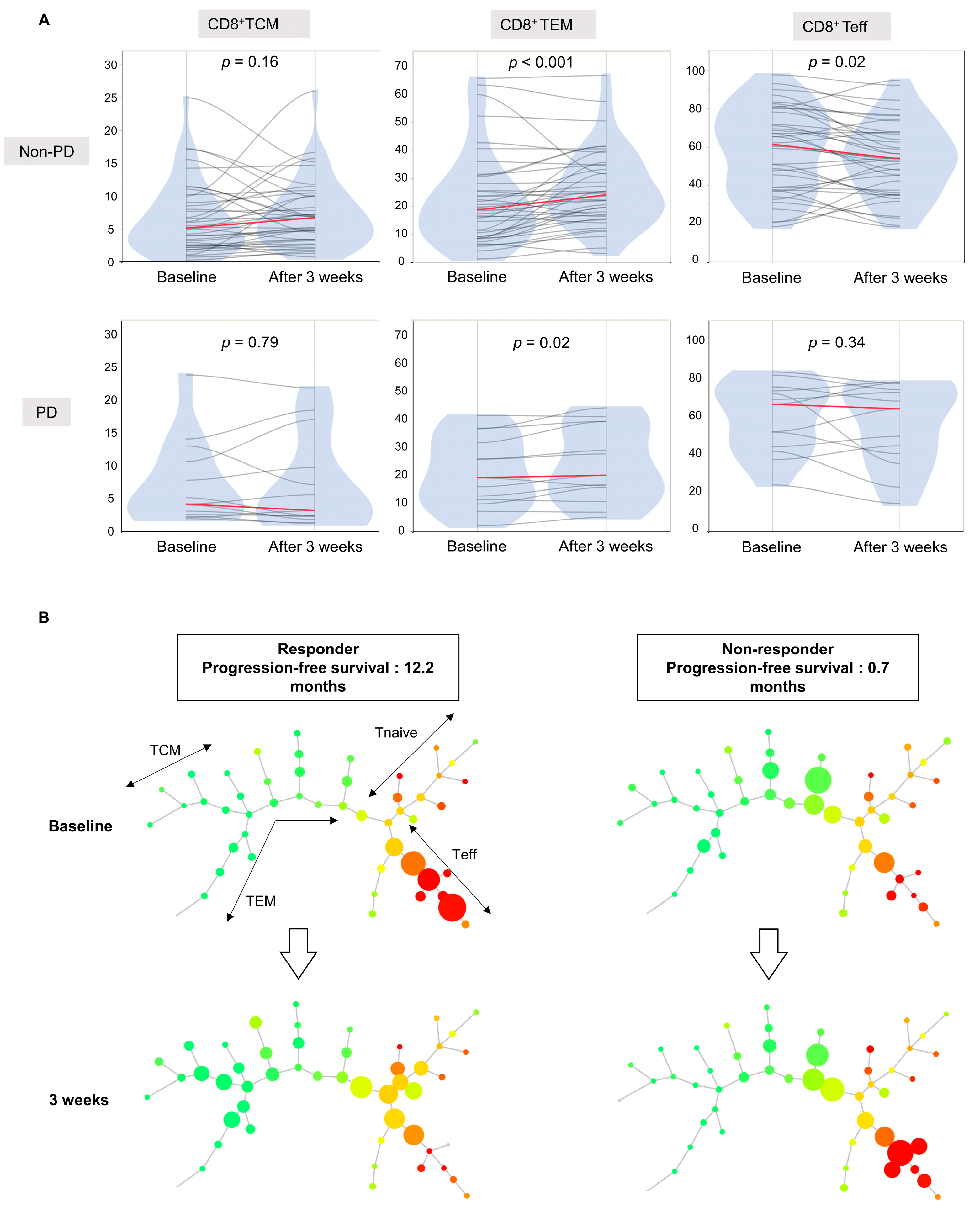 Cancers 16 01328 g003