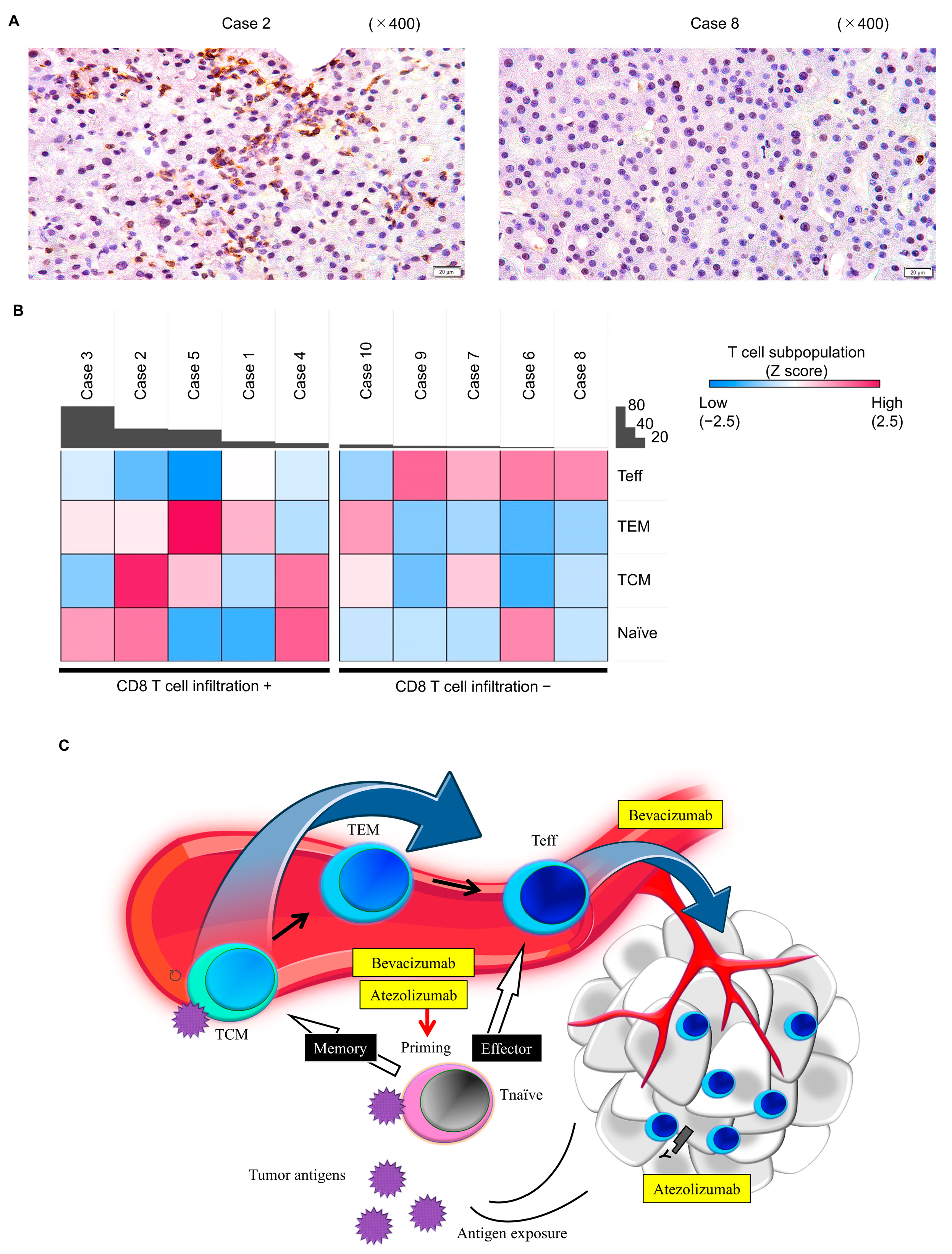 Cancers 16 01328 g005