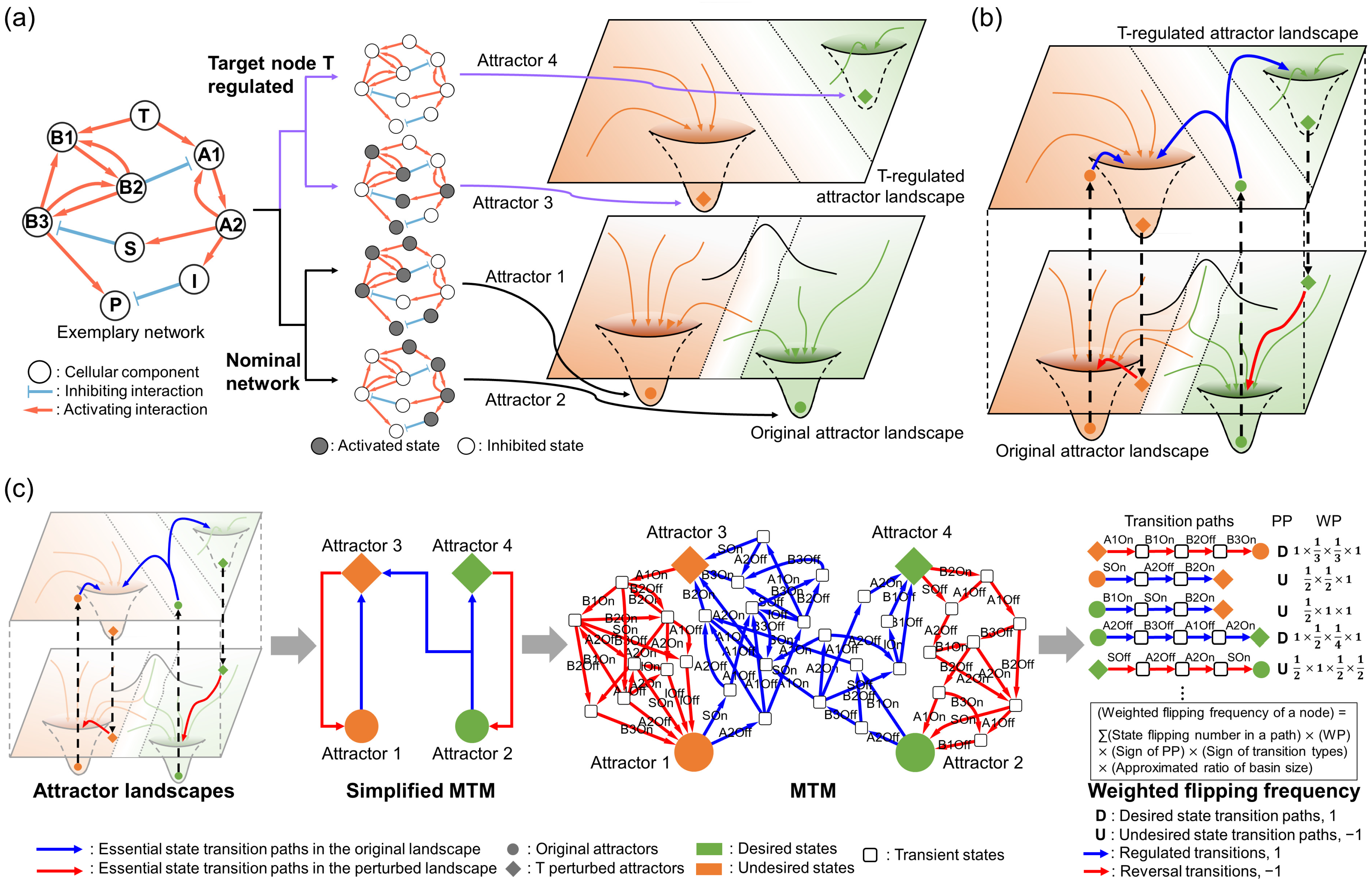 Cancers 16 01337 g002