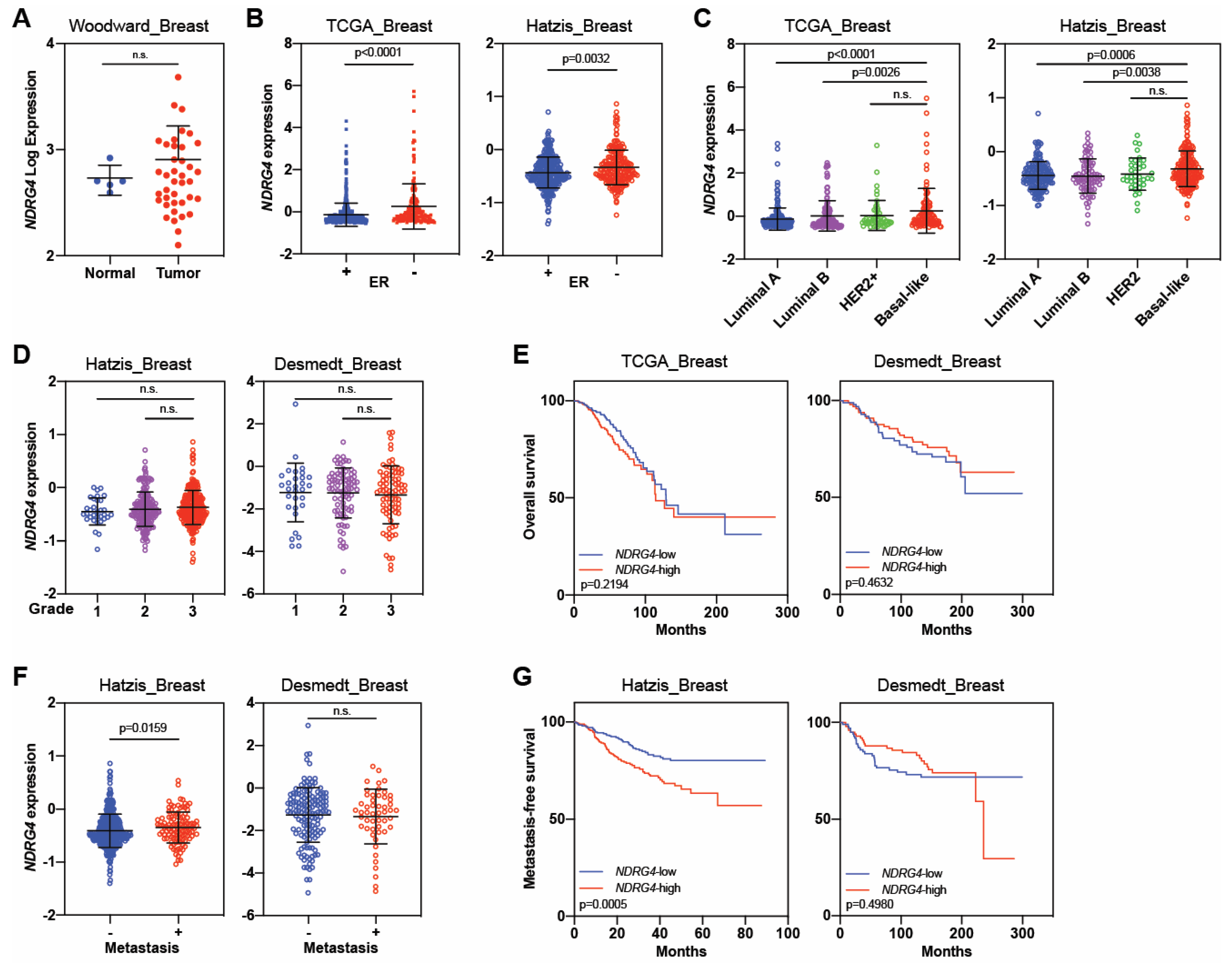 Cancers 16 01342 g008