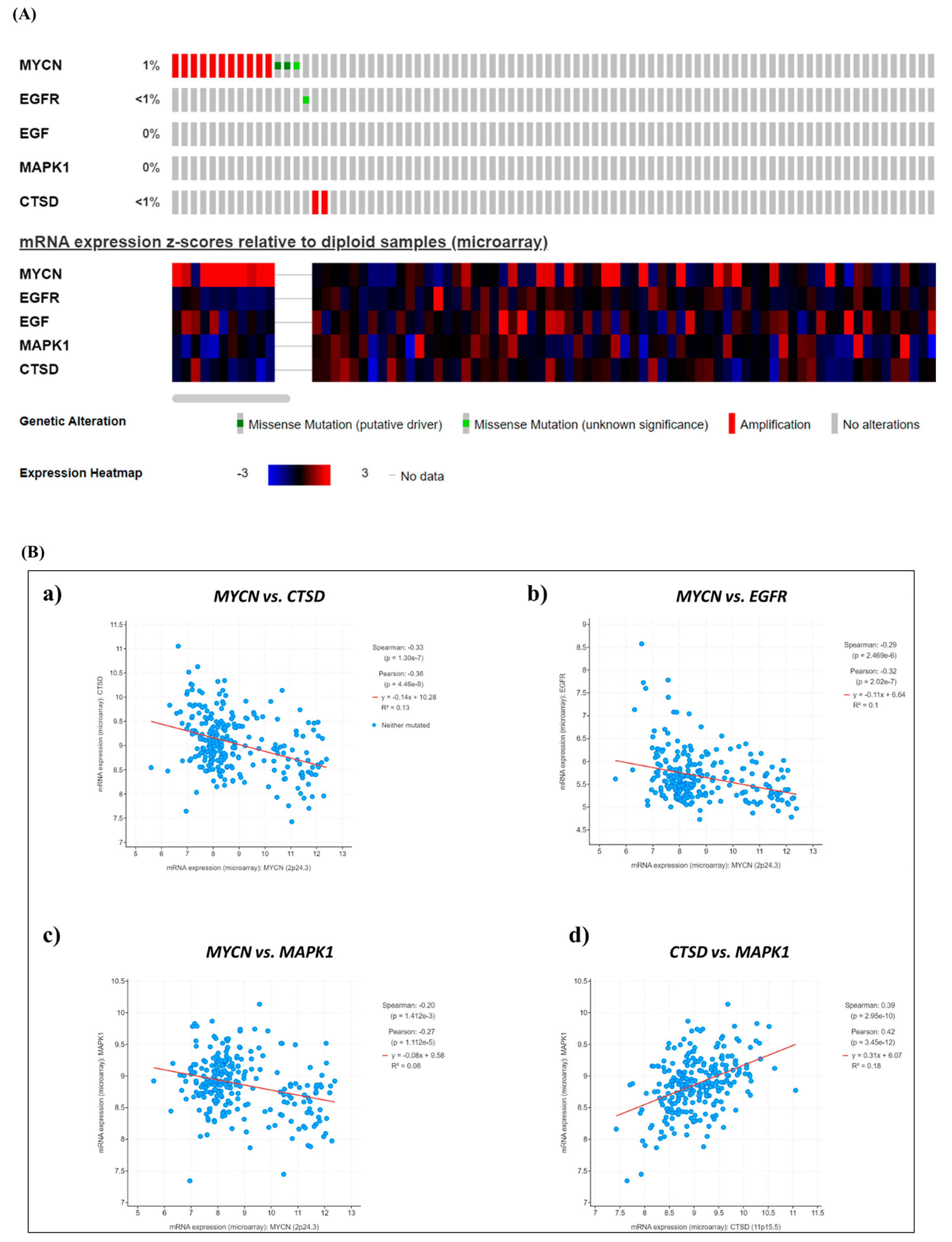 Cancers 16 01343 g001