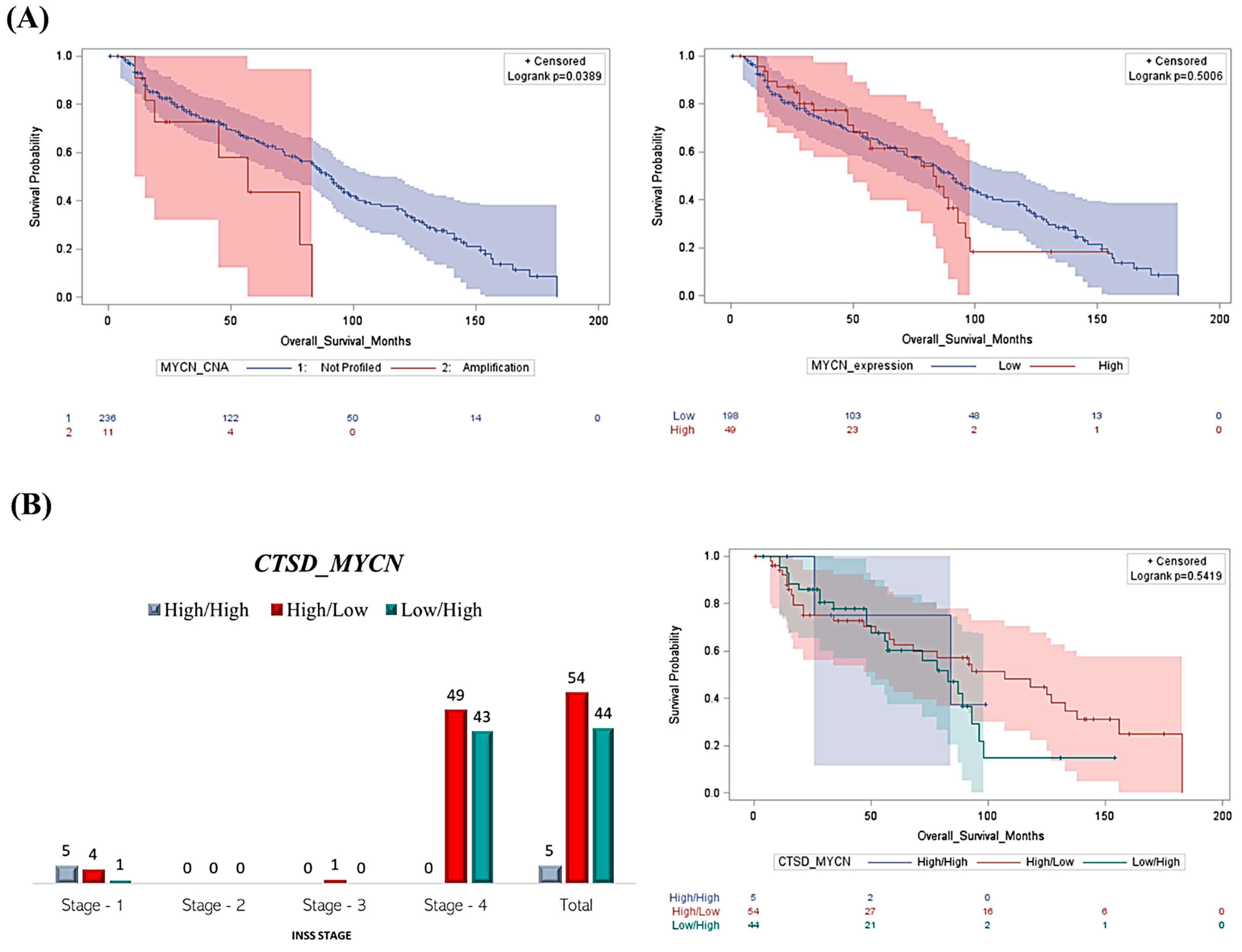 Cancers 16 01343 g002