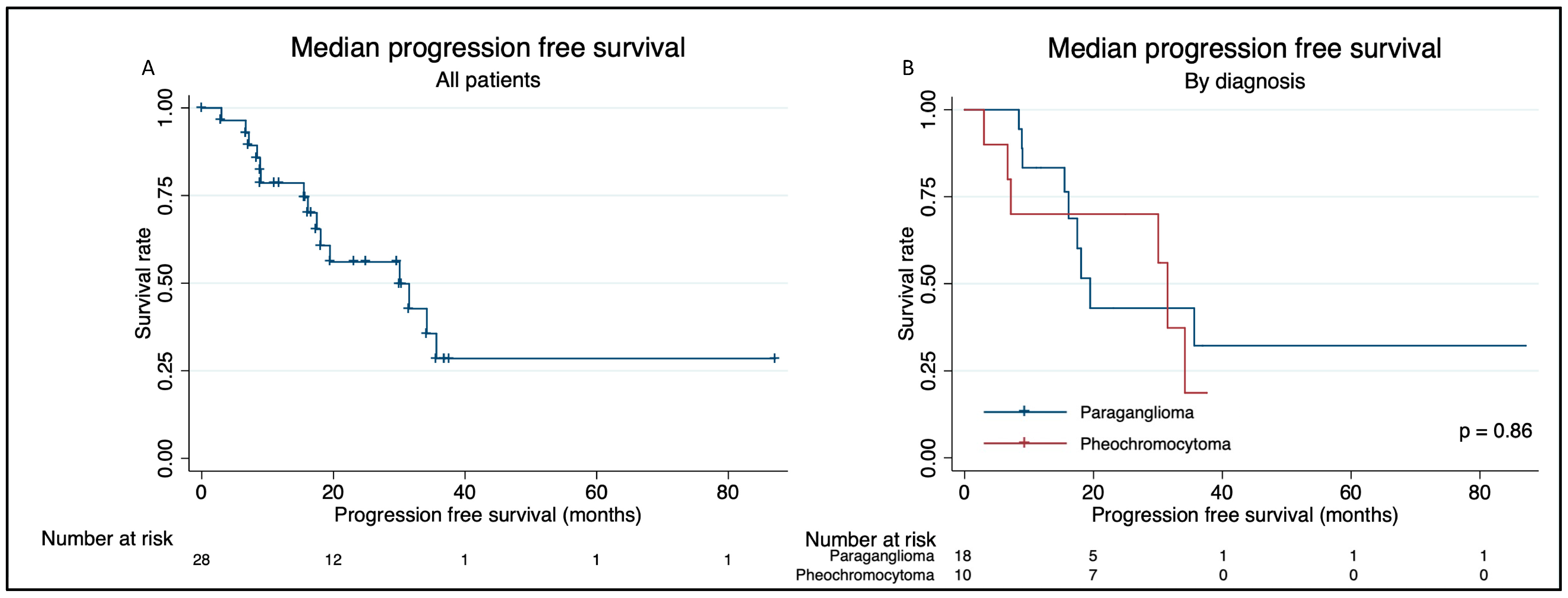 Cancers 16 01349 g003