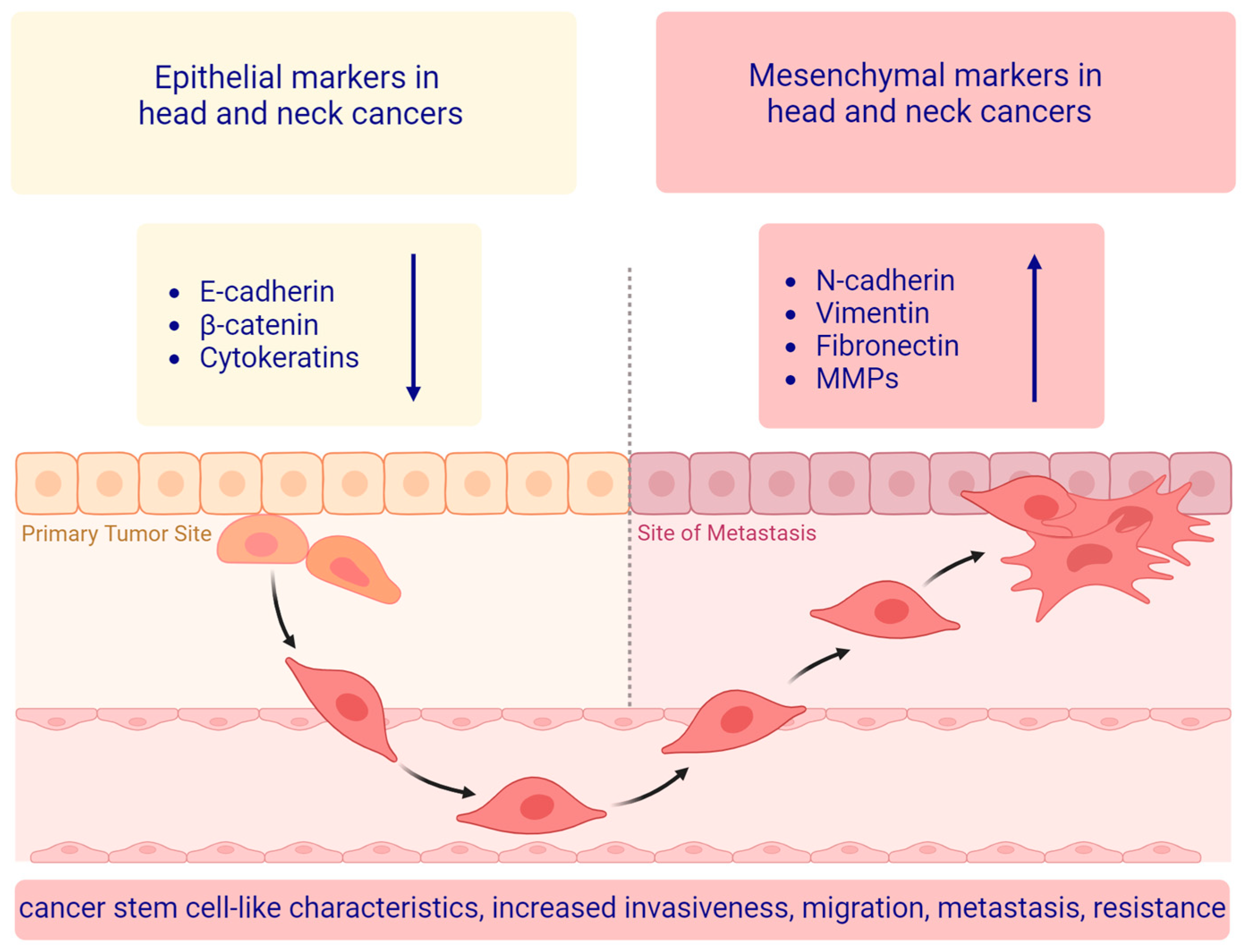 Cancers 16 01354 g002 Cancers 16 01354 g002