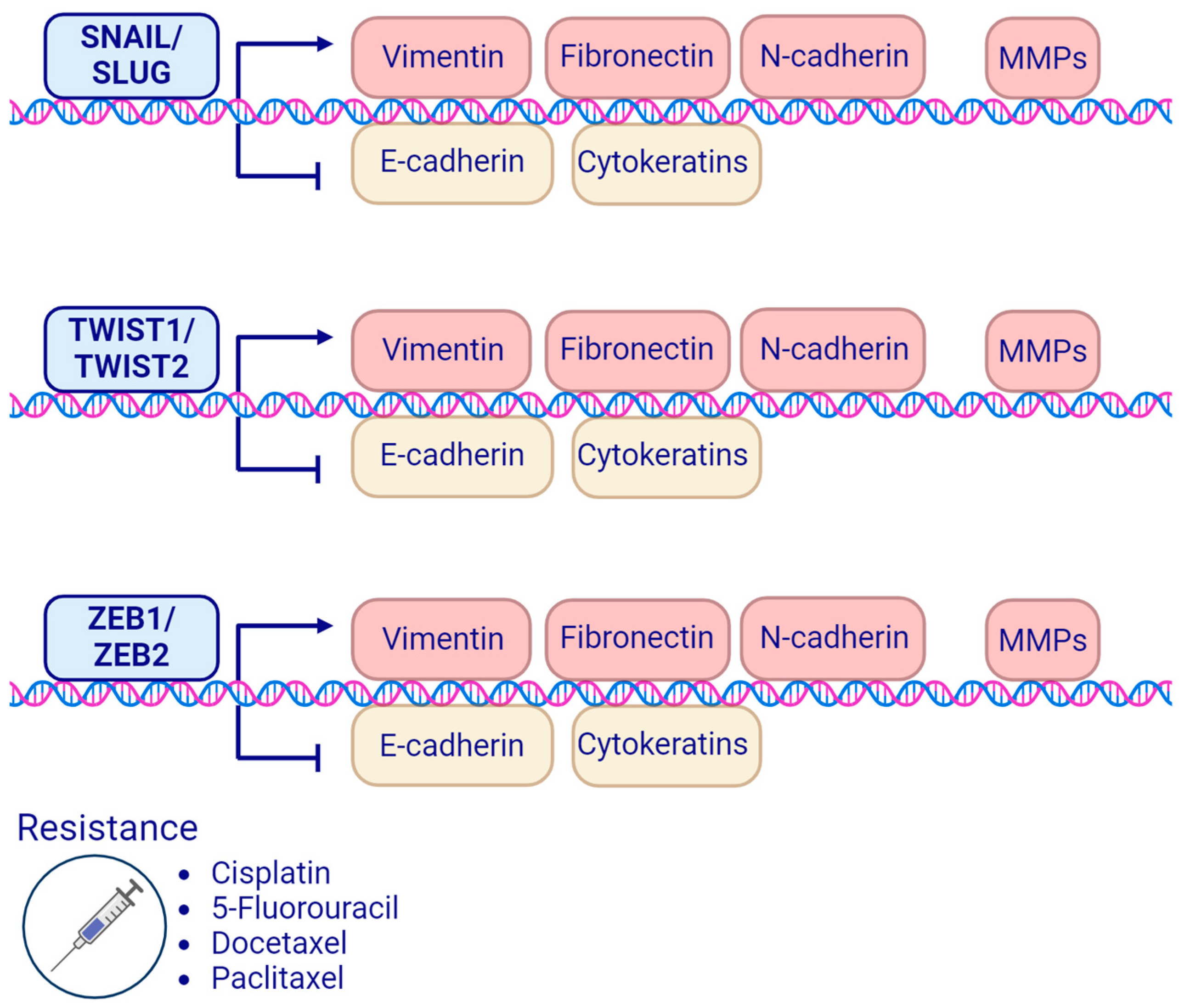 Cancers 16 01354 g003 Cancers 16 01354 g003