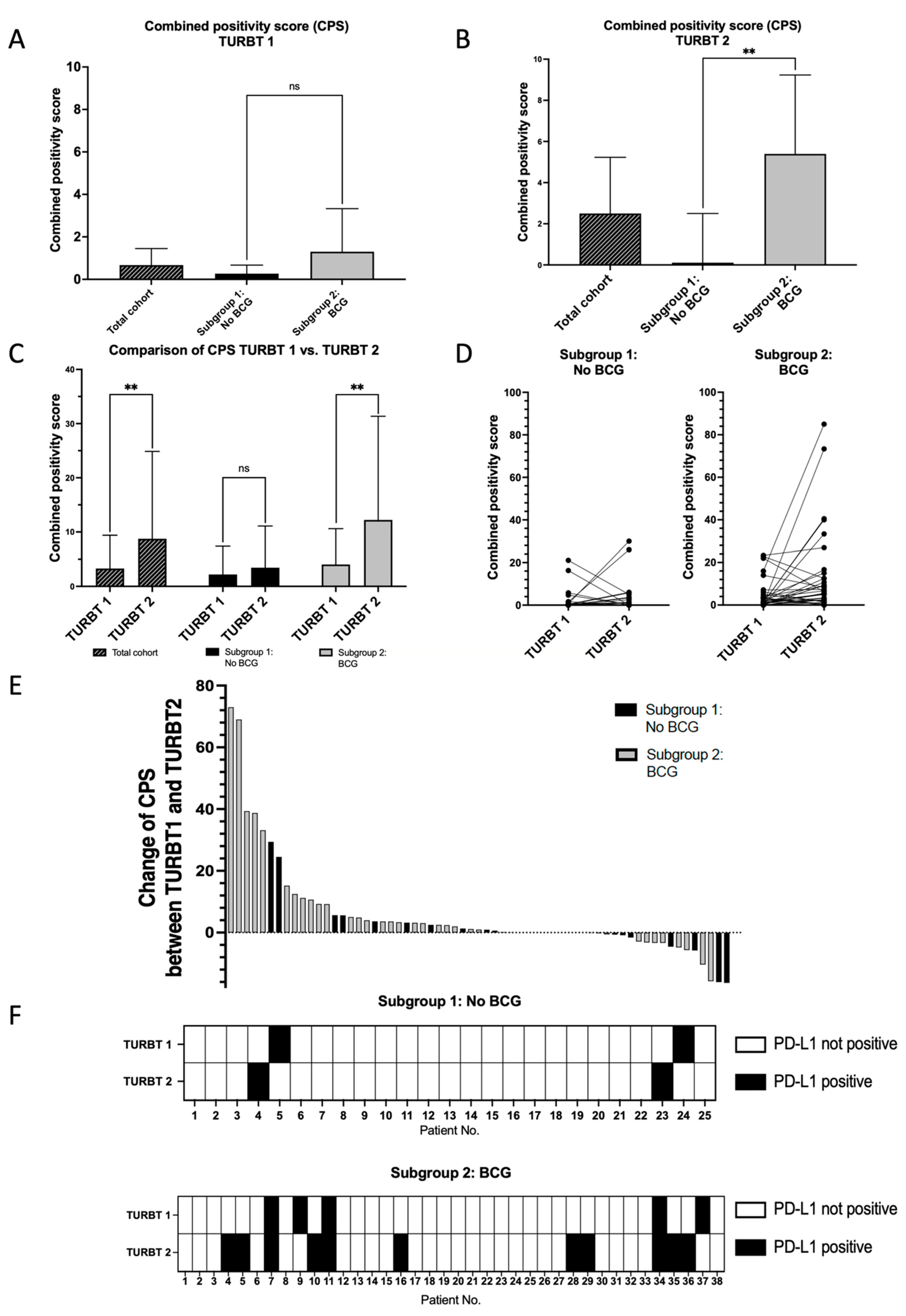 Cancers 16 01356 g002