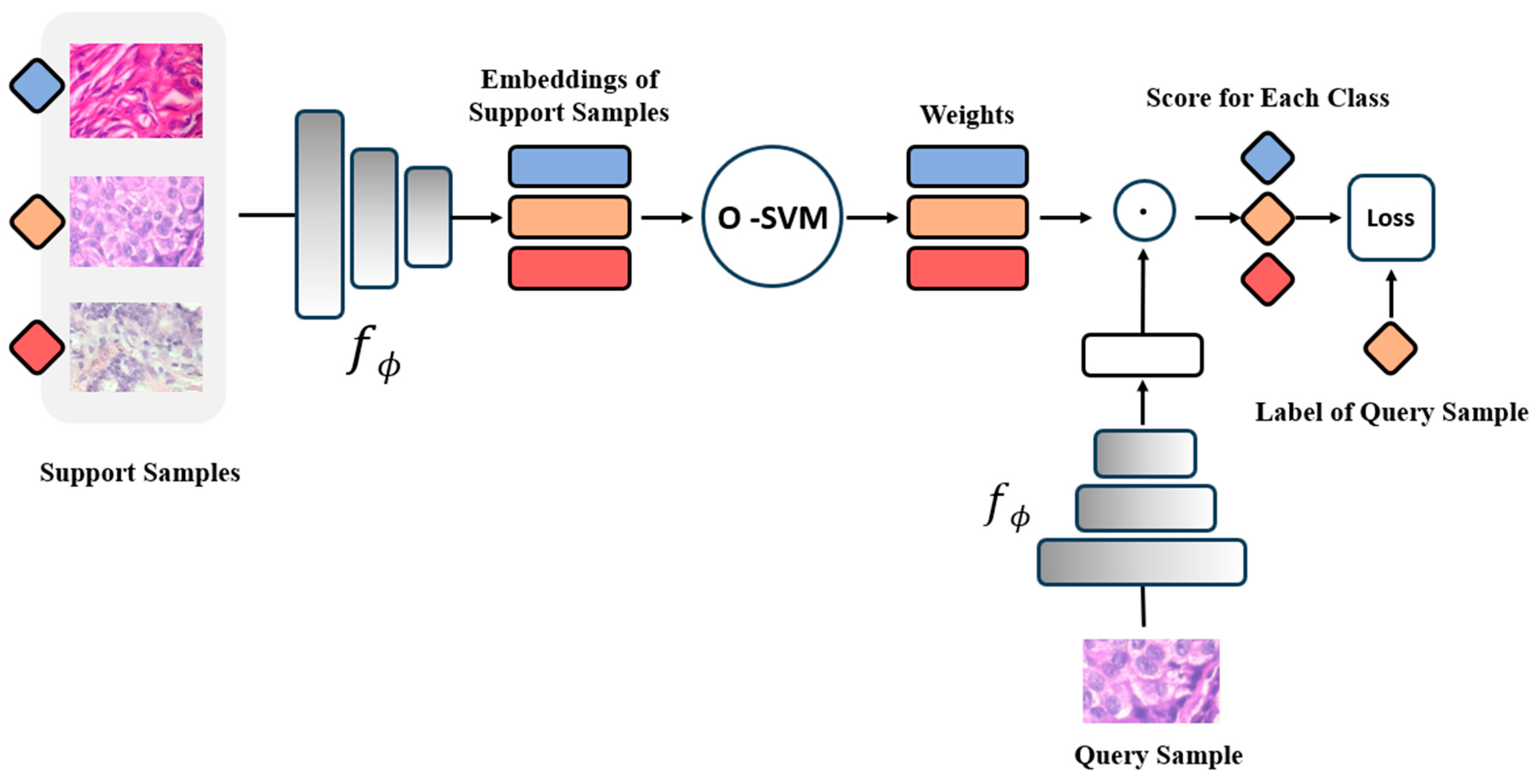 Cancers 16 01362 g002