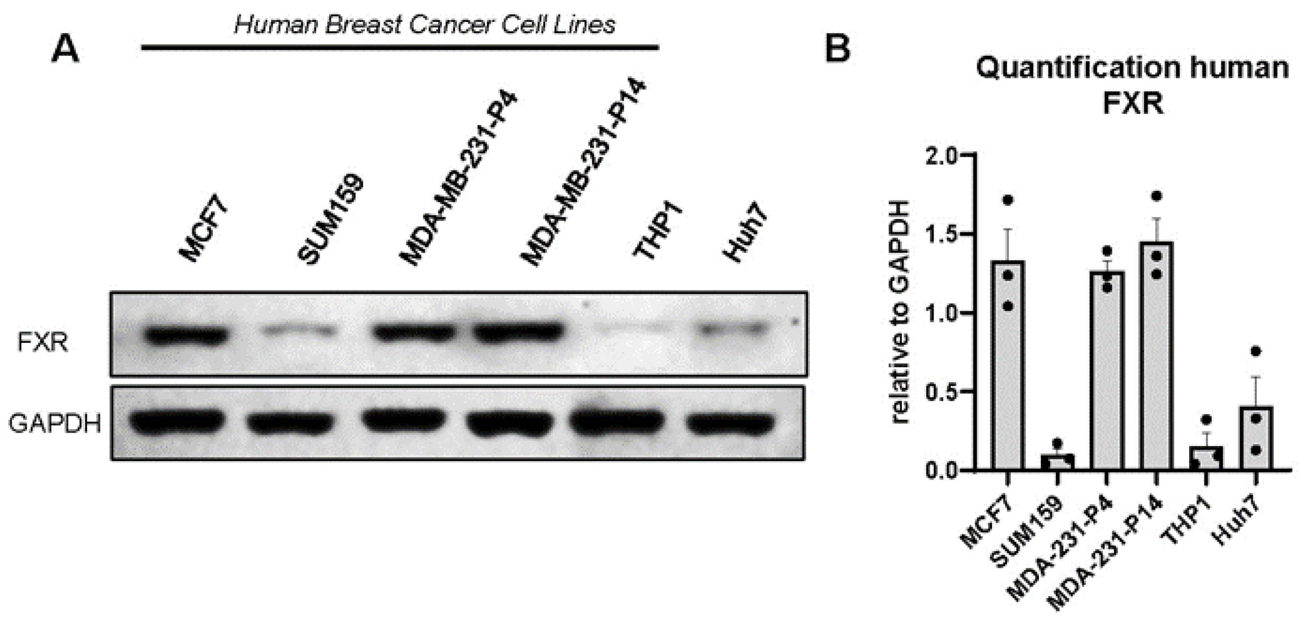 Cancers 16 01368 g002