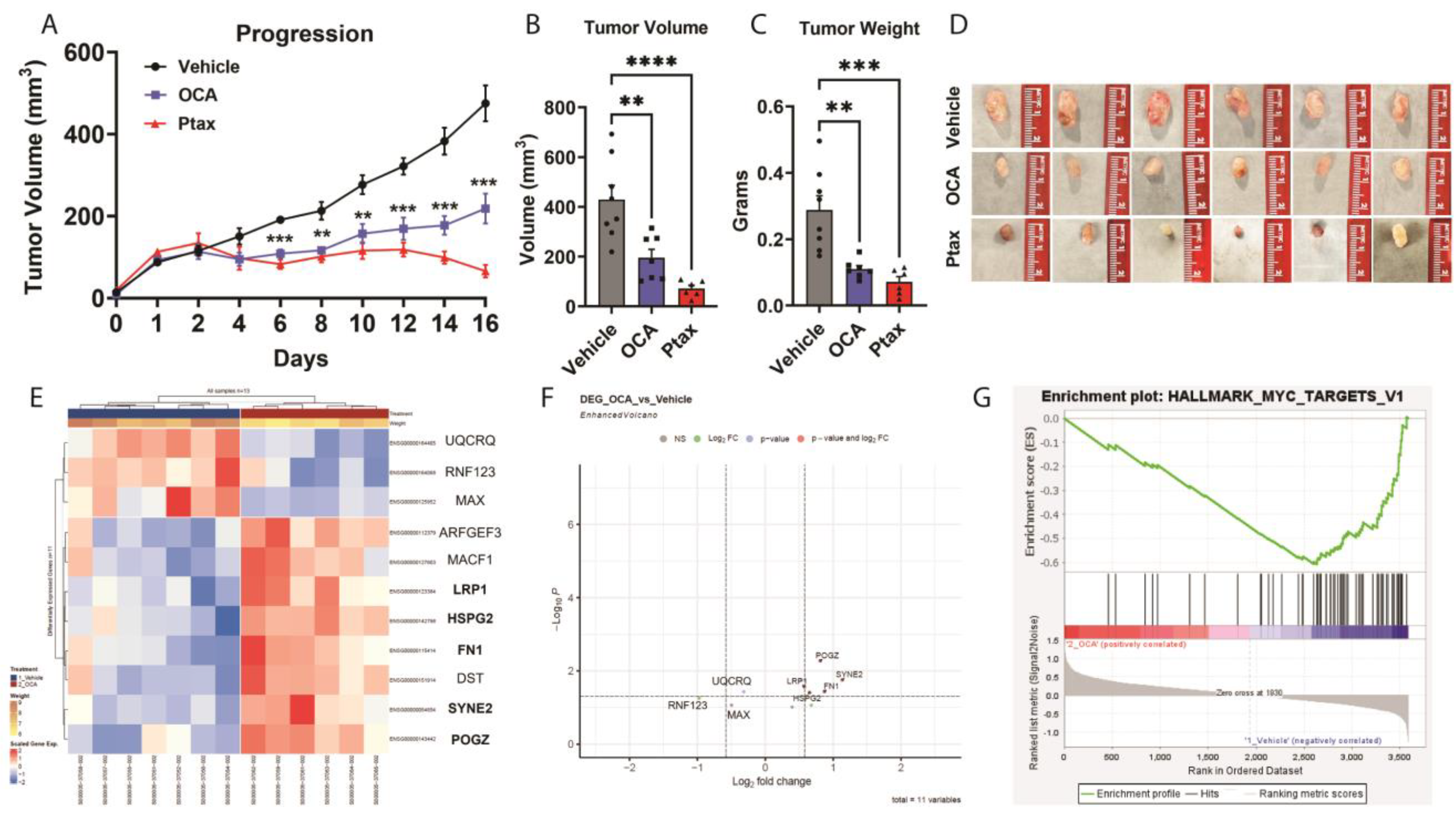 Cancers 16 01368 g003