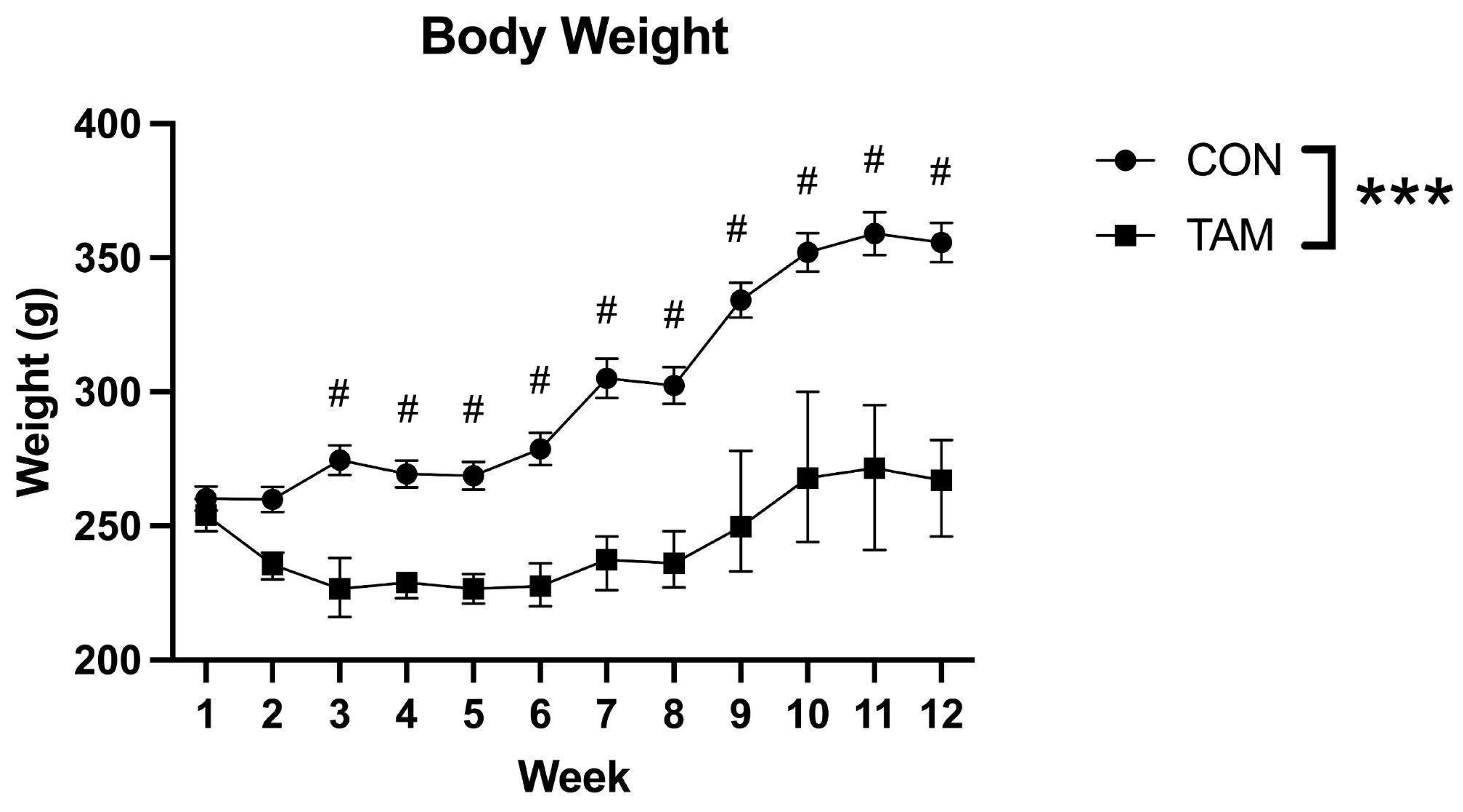 Cancers 16 01373 g001