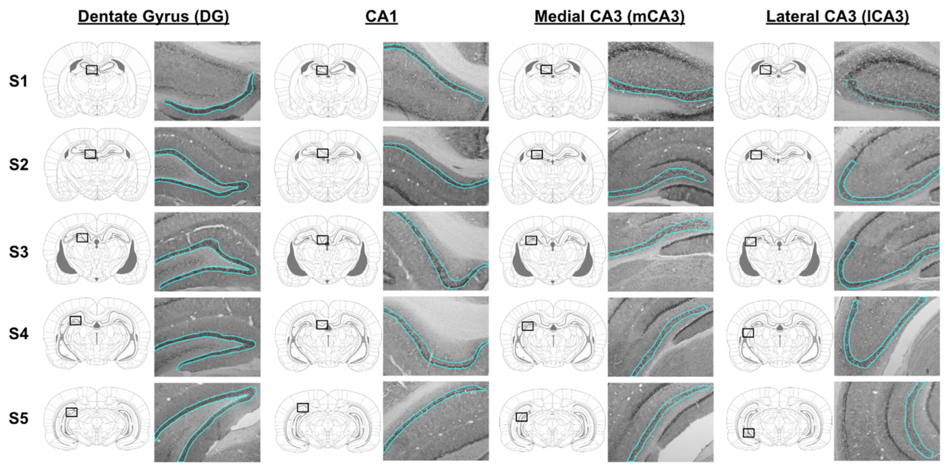 Cancers 16 01373 g003