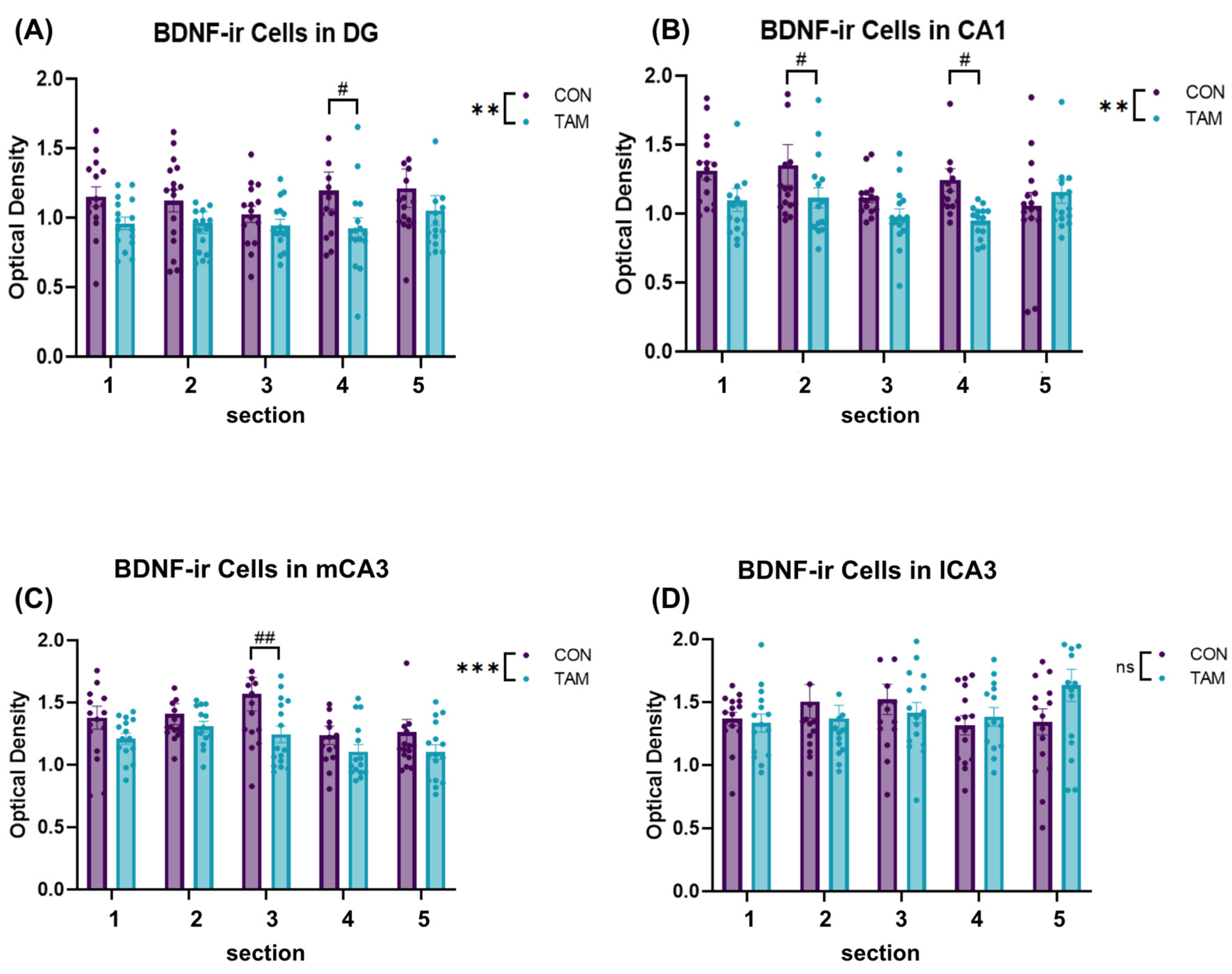 Cancers 16 01373 g004