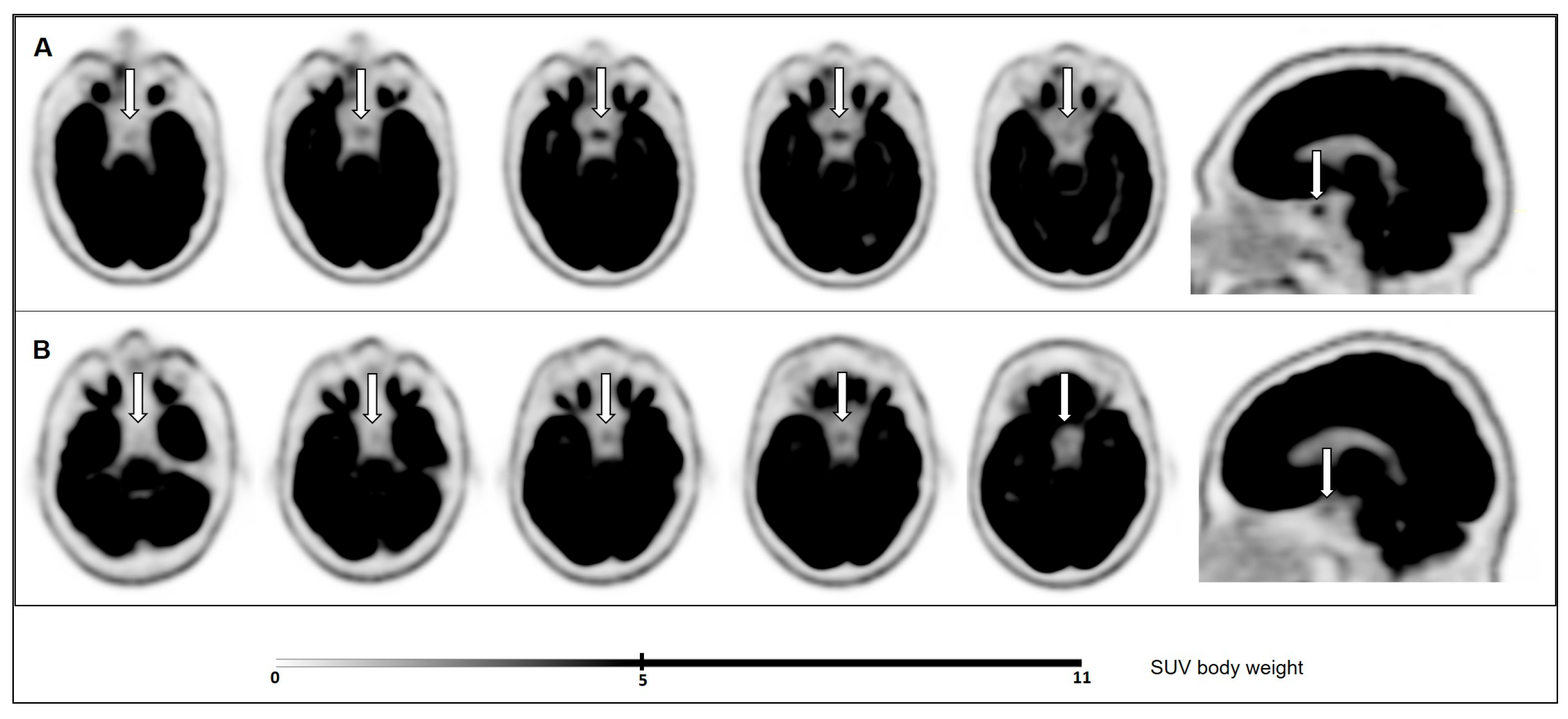Cancers 16 01382 g001