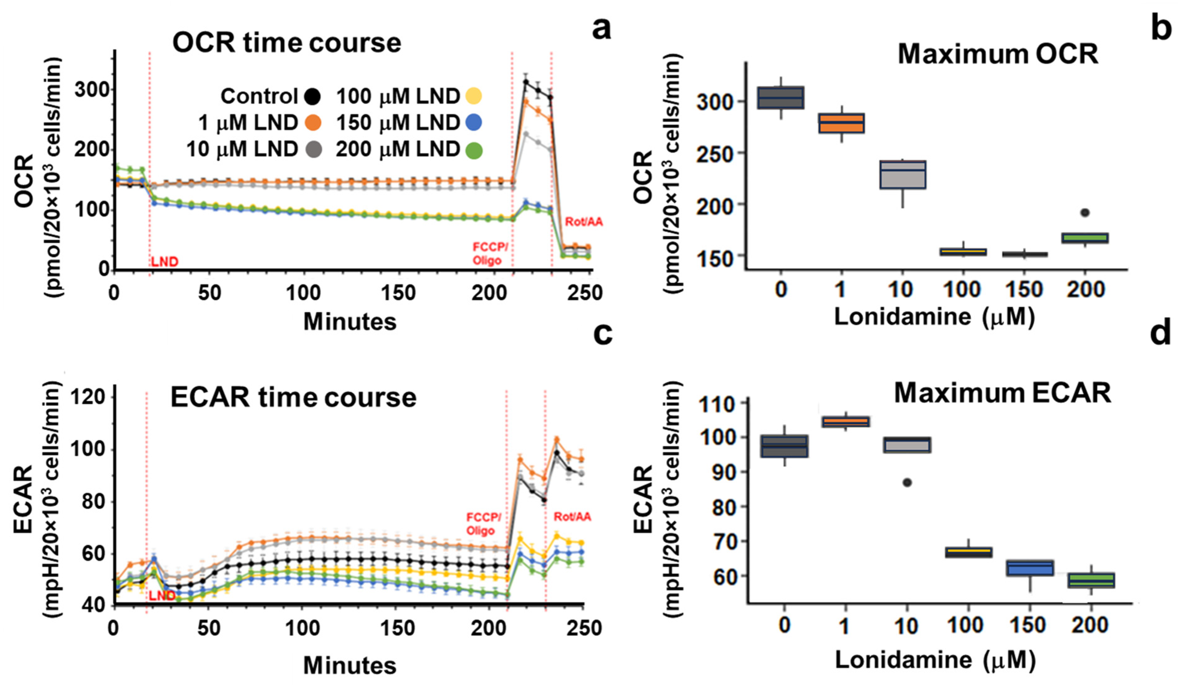 Cancers 16 01384 g001