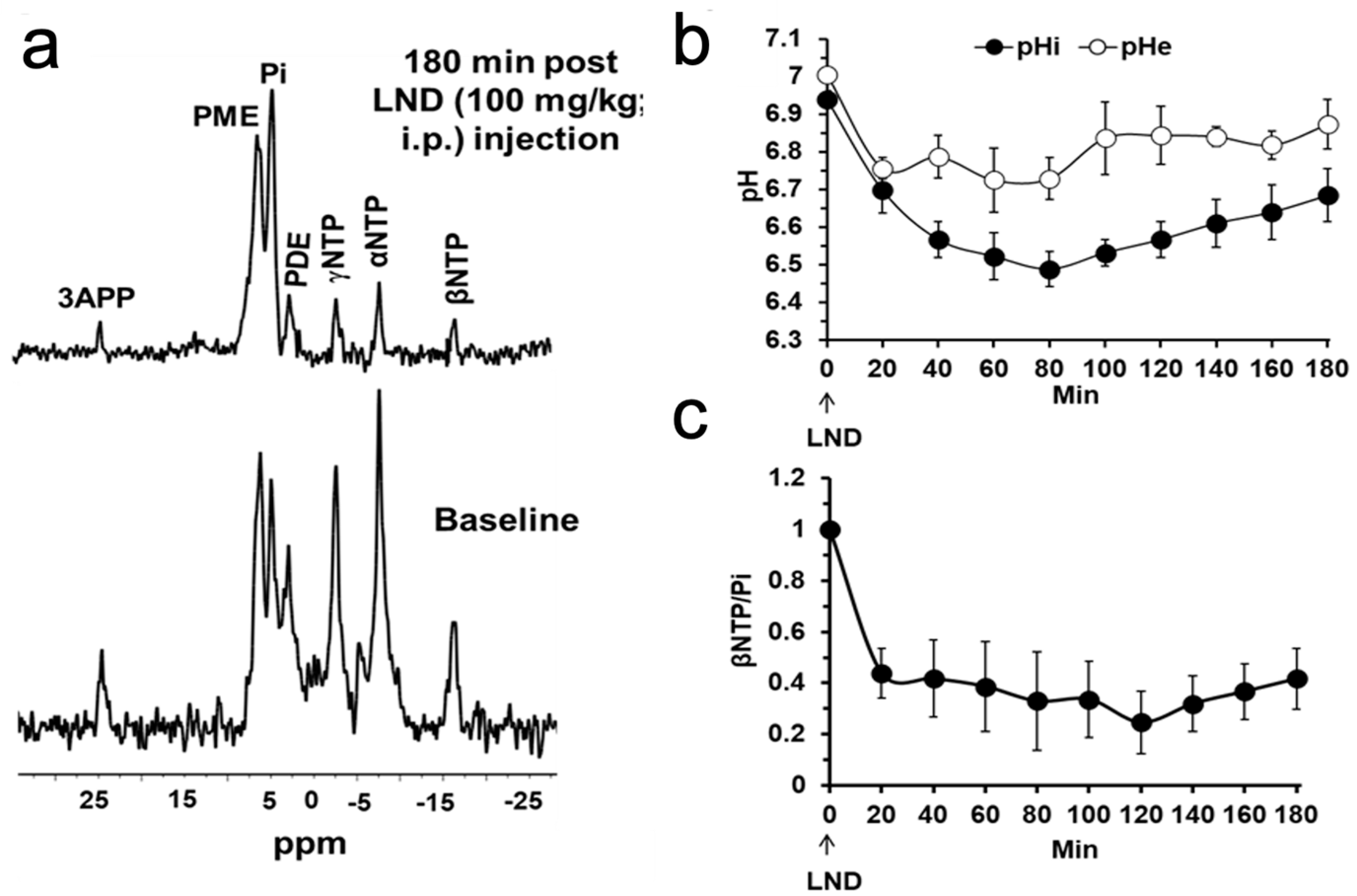 Cancers 16 01384 g004