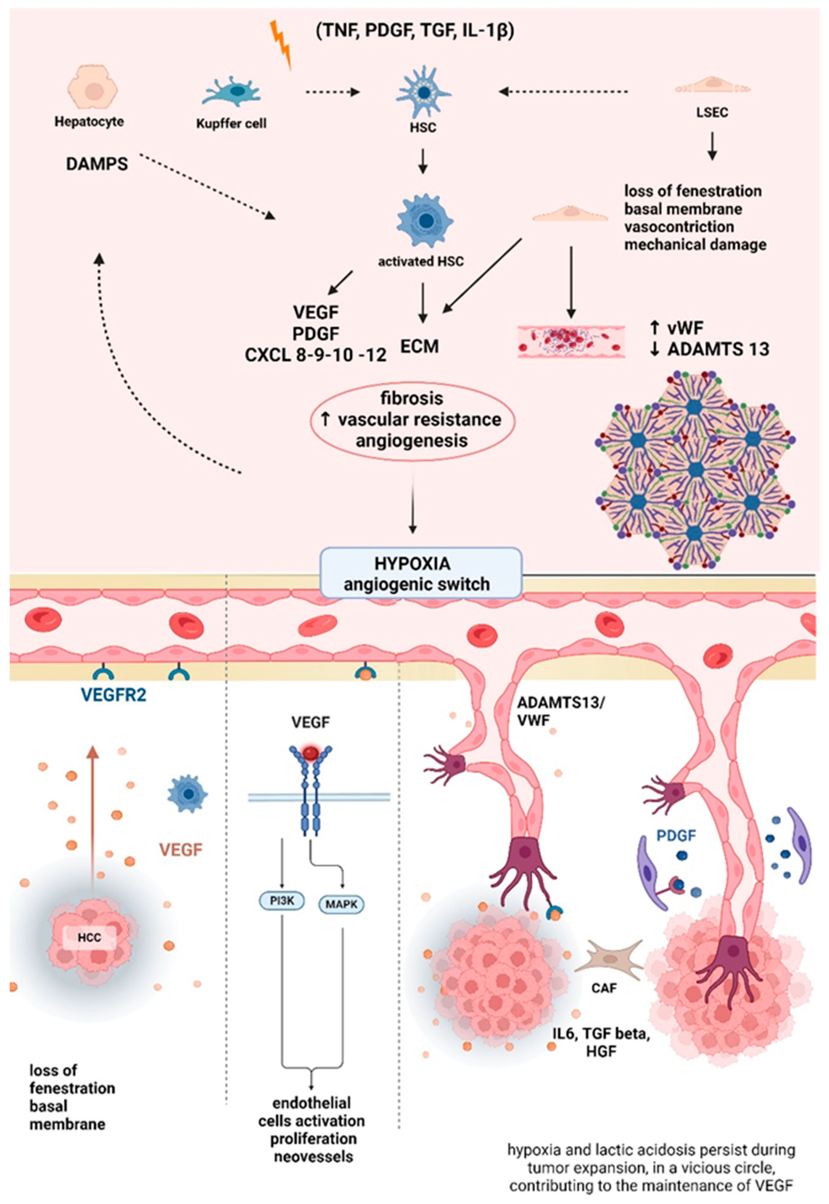 Cancers 16 01388 g001 Cancers 16 01388 g001