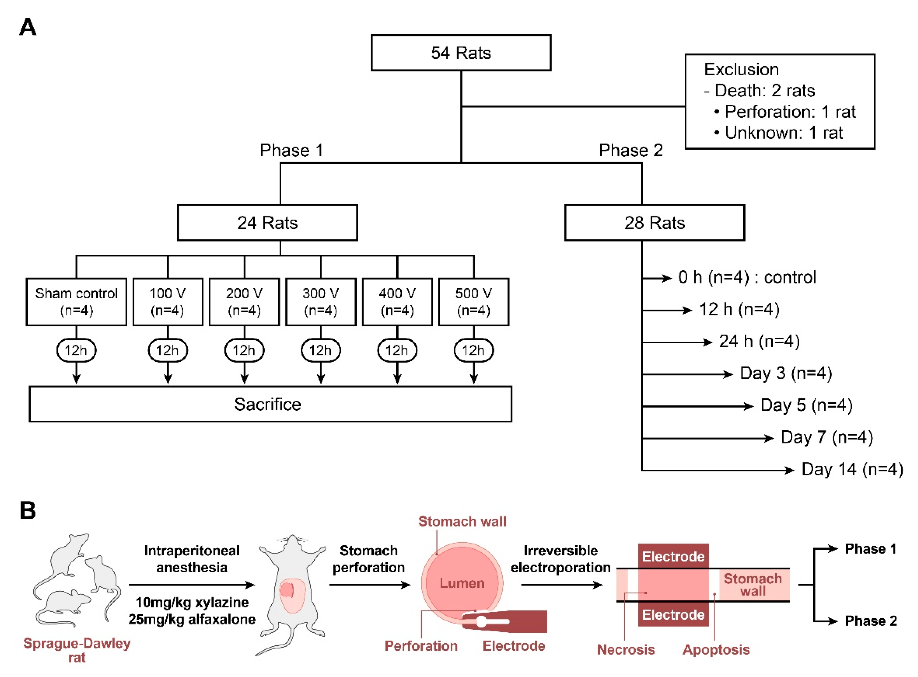 Cancers 16 01389 g001 Cancers 16 01389 g001