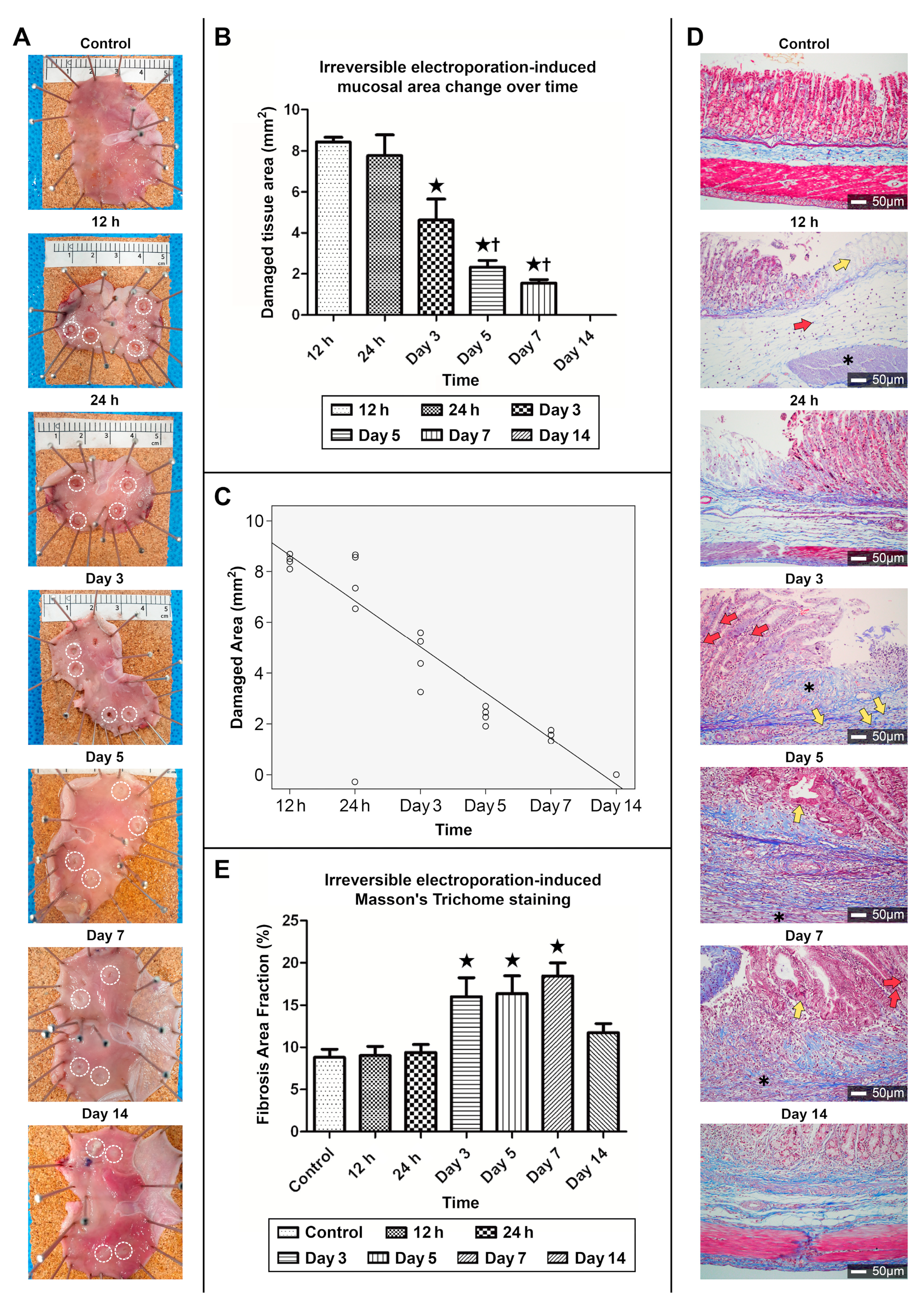 Cancers 16 01389 g008 Cancers 16 01389 g008