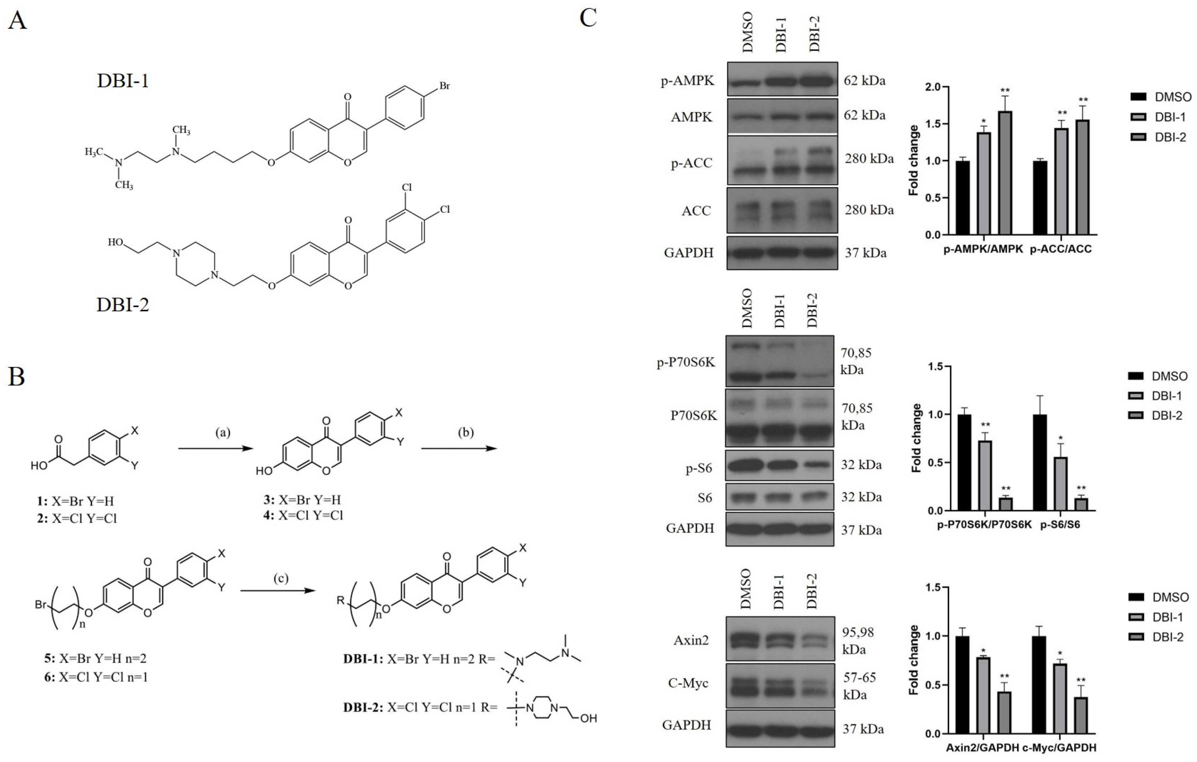 Cancers 16 01399 g001 Cancers 16 01399 g001
