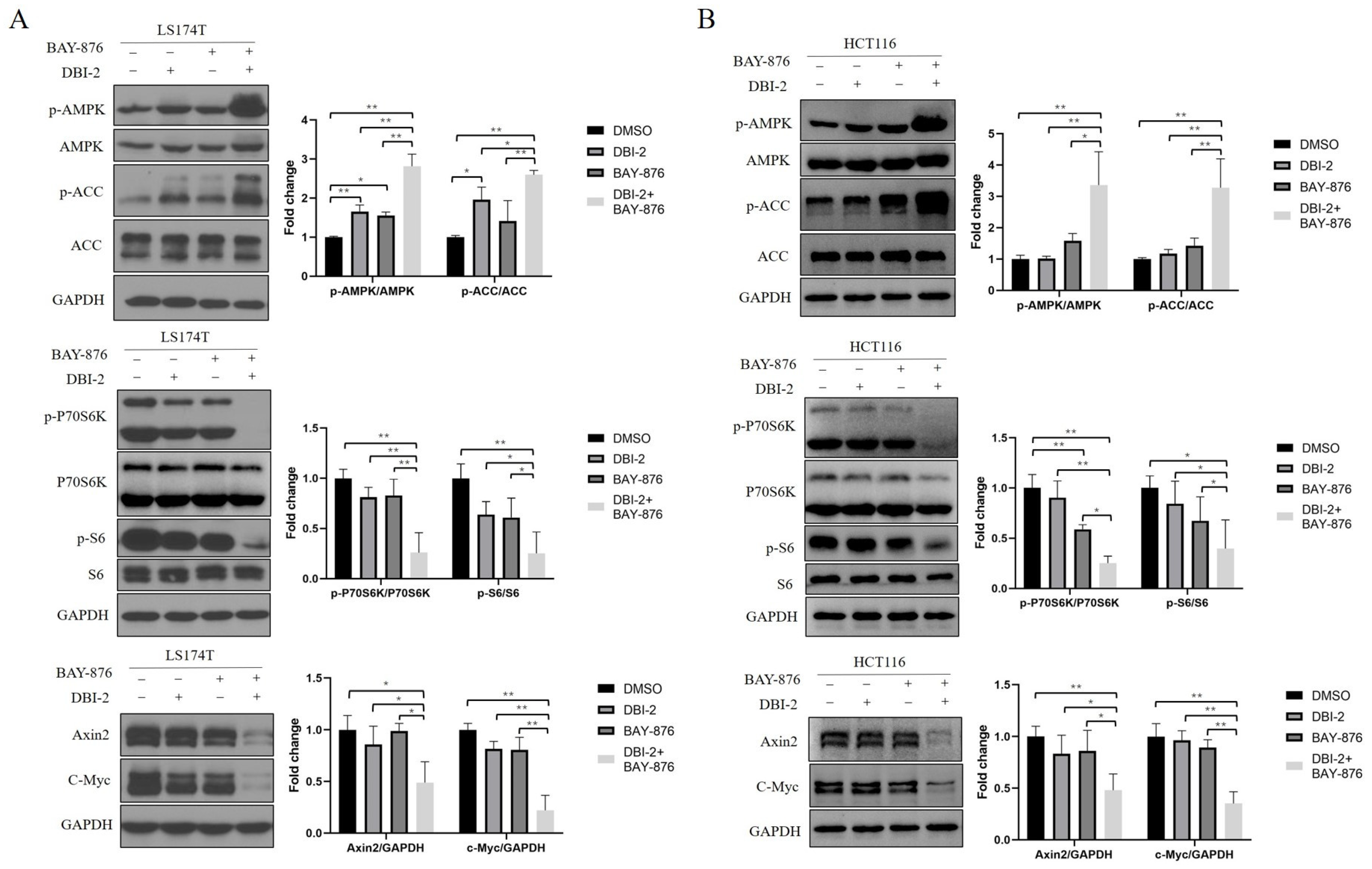 Cancers 16 01399 g002 Cancers 16 01399 g002