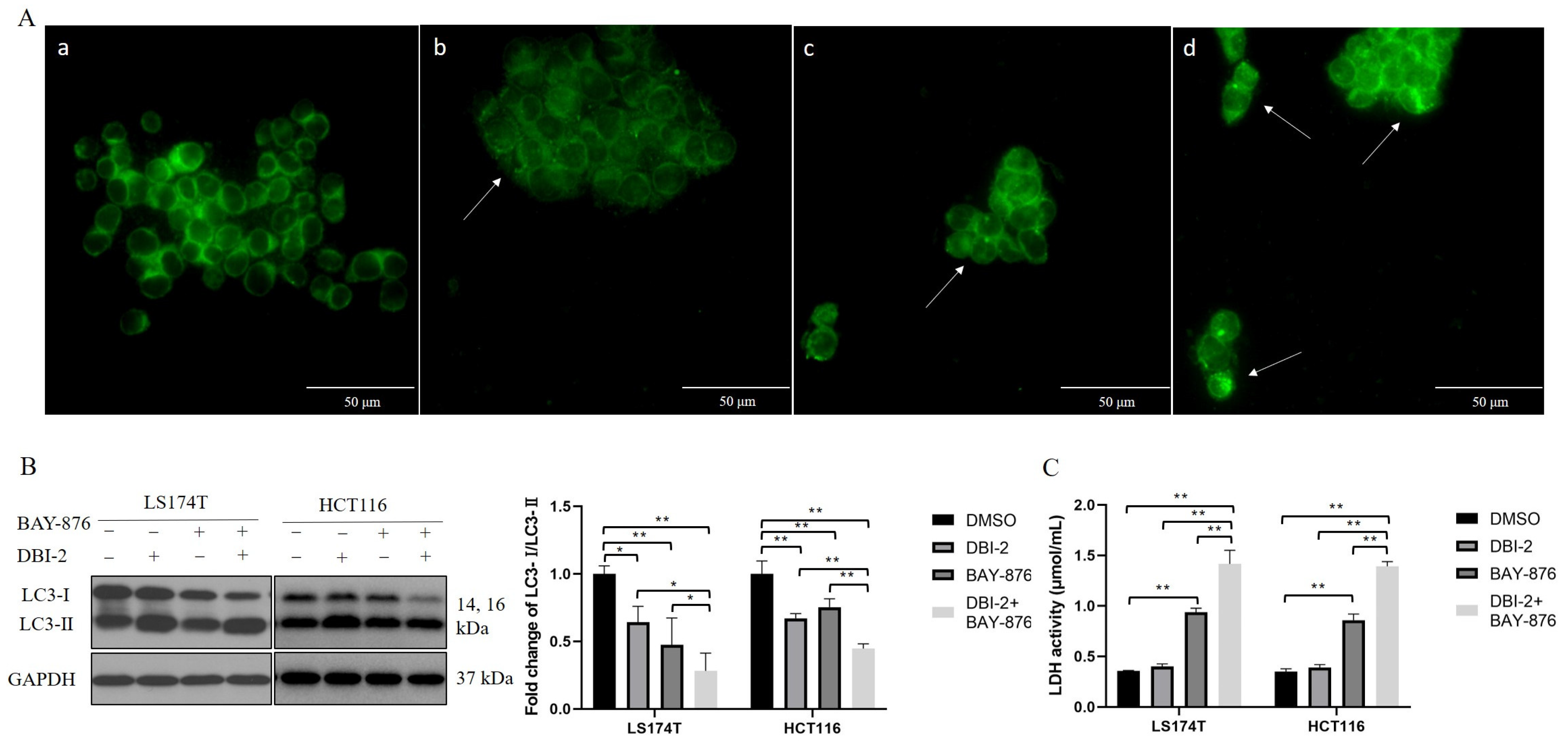 Cancers 16 01399 g006 Cancers 16 01399 g006