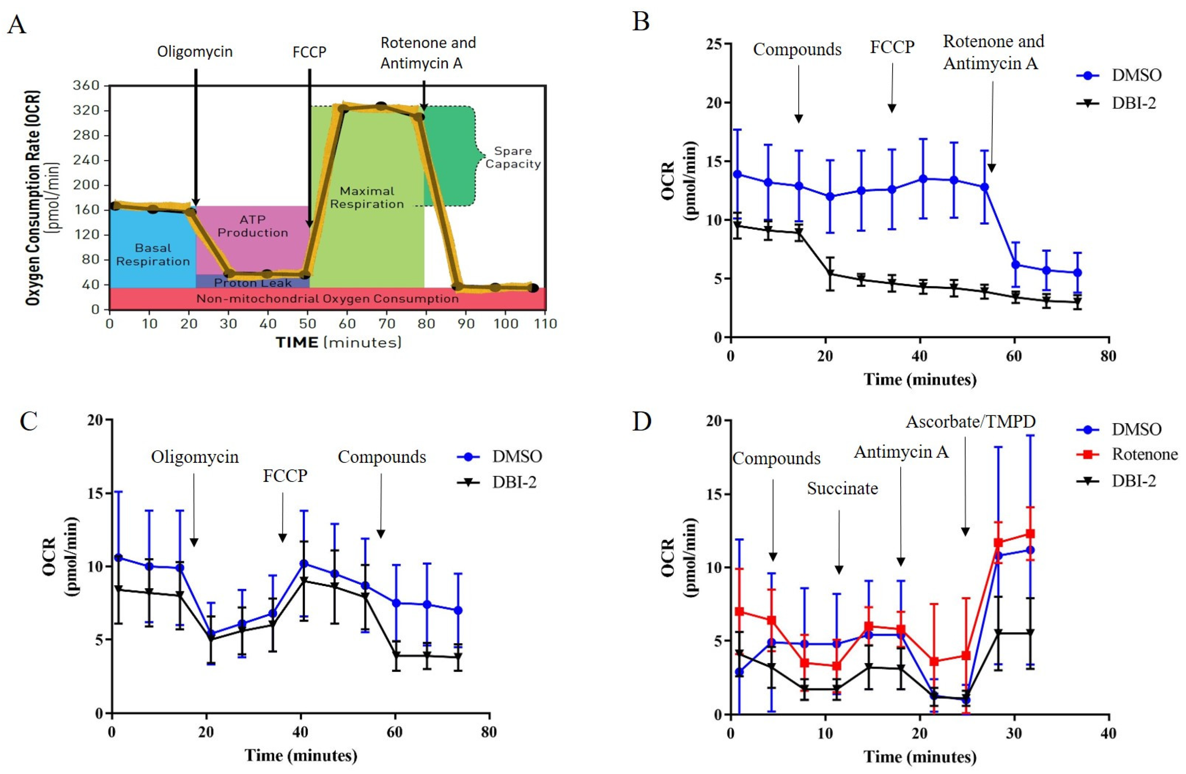 Cancers 16 01399 g007 Cancers 16 01399 g007