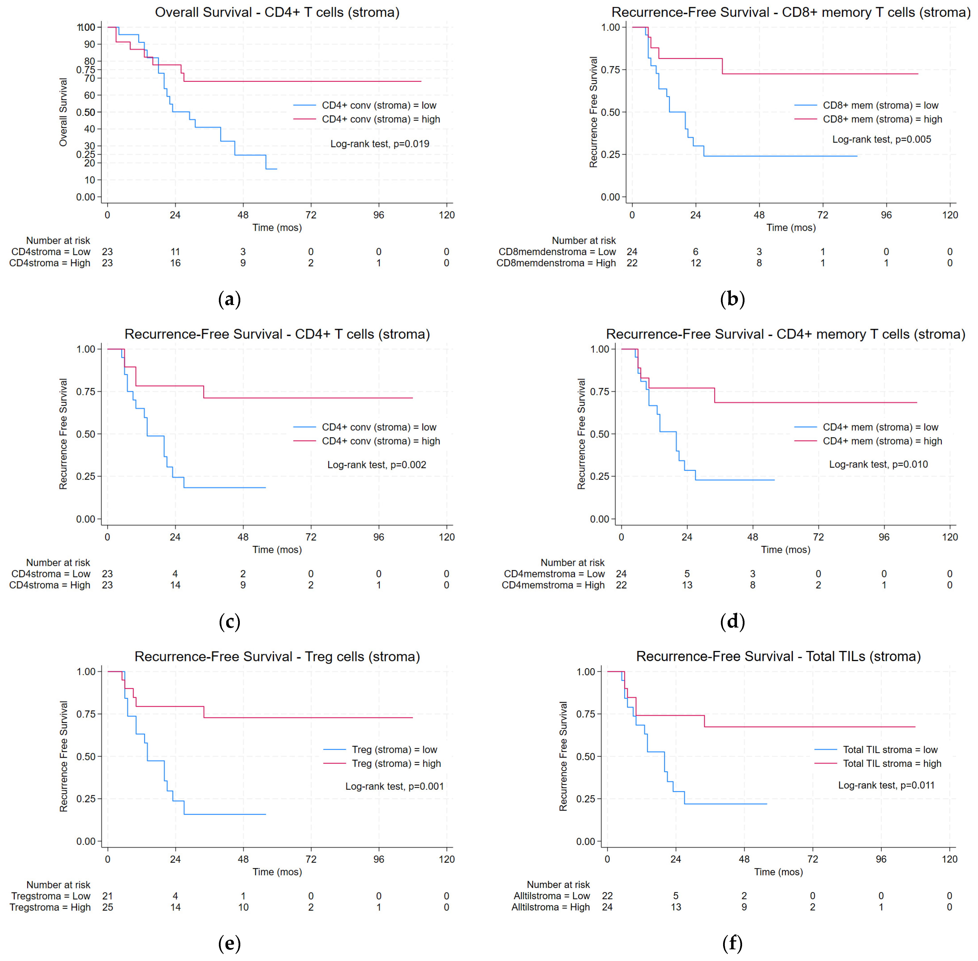 Cancers 16 01428 g002 Cancers 16 01428 g002