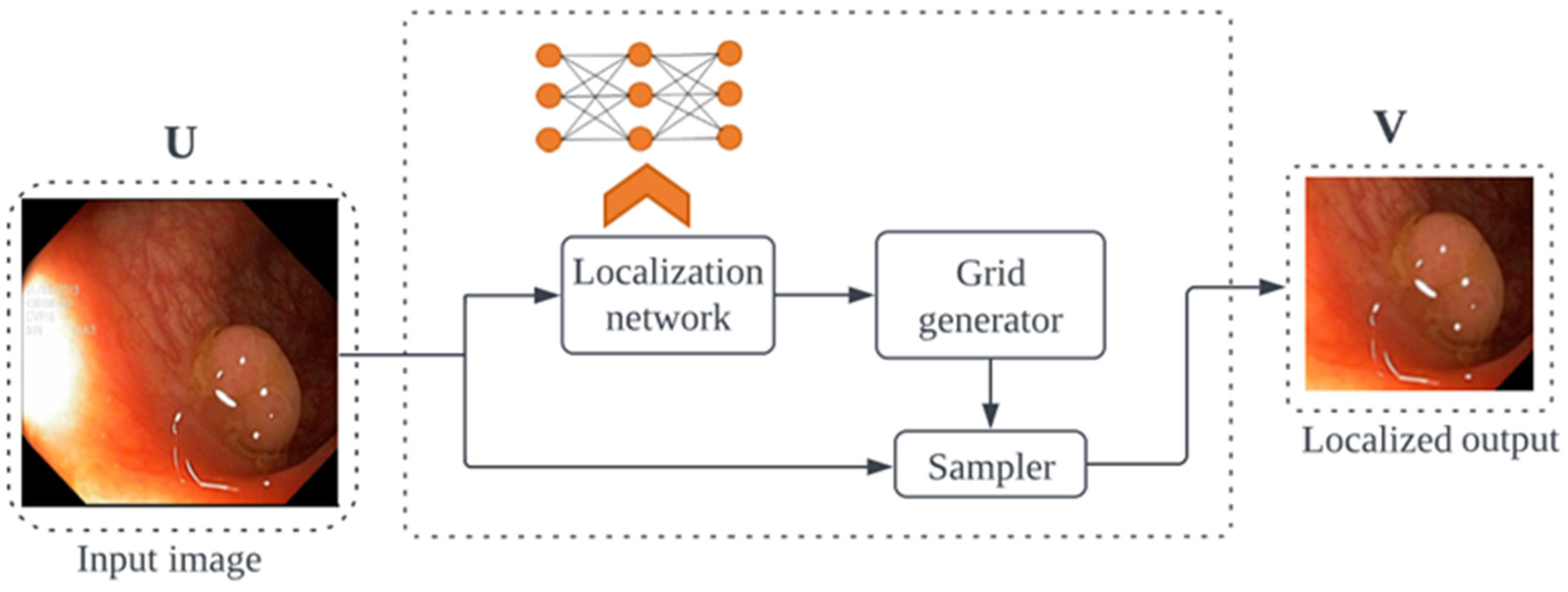 Cancers 16 01441 g001 Cancers 16 01441 g001