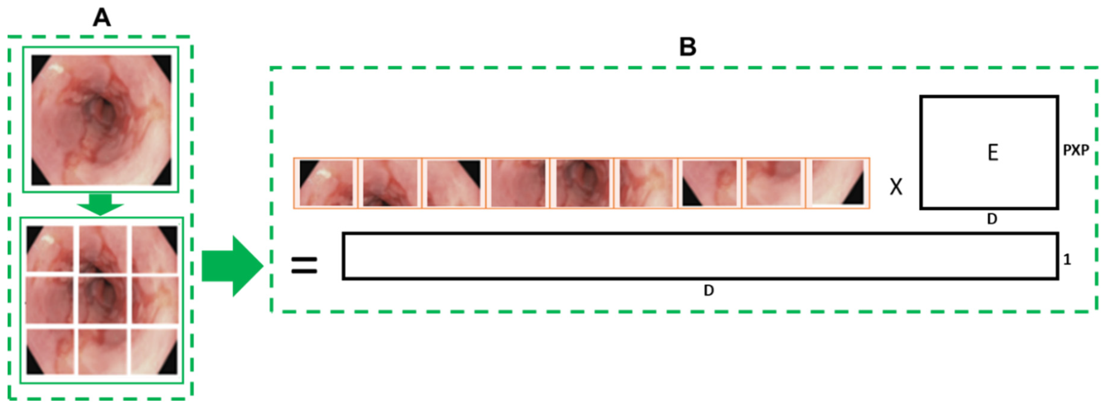 Cancers 16 01441 g002 Cancers 16 01441 g002