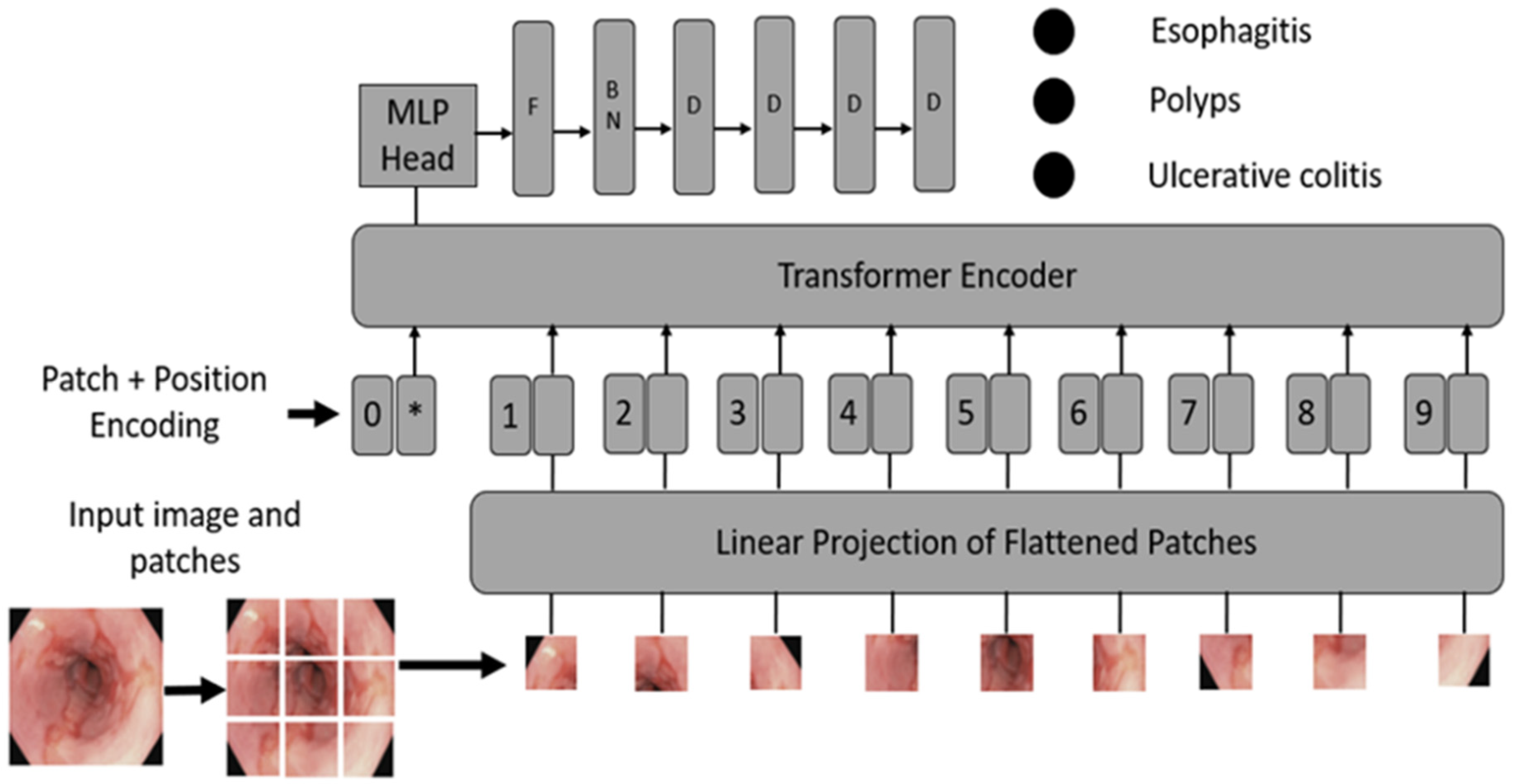 Cancers 16 01441 g003 Cancers 16 01441 g003