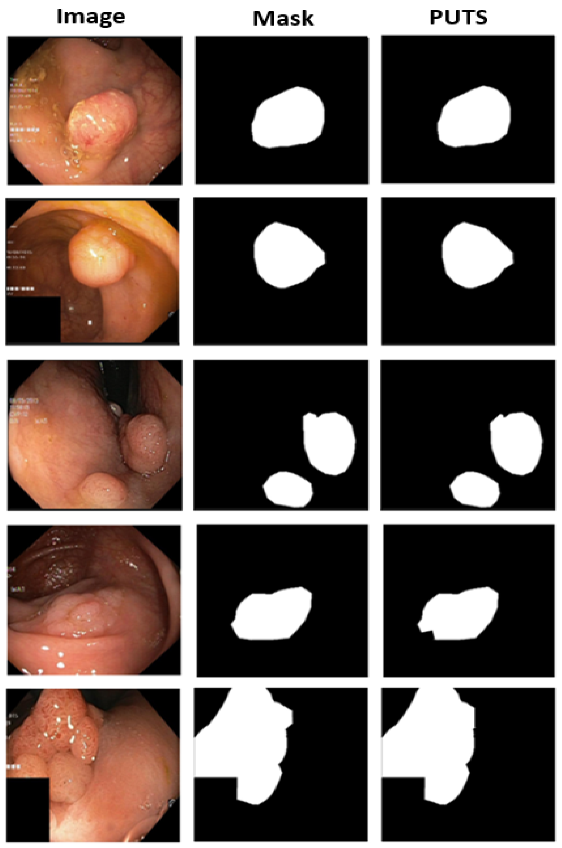 Cancers 16 01441 g008 Cancers 16 01441 g008