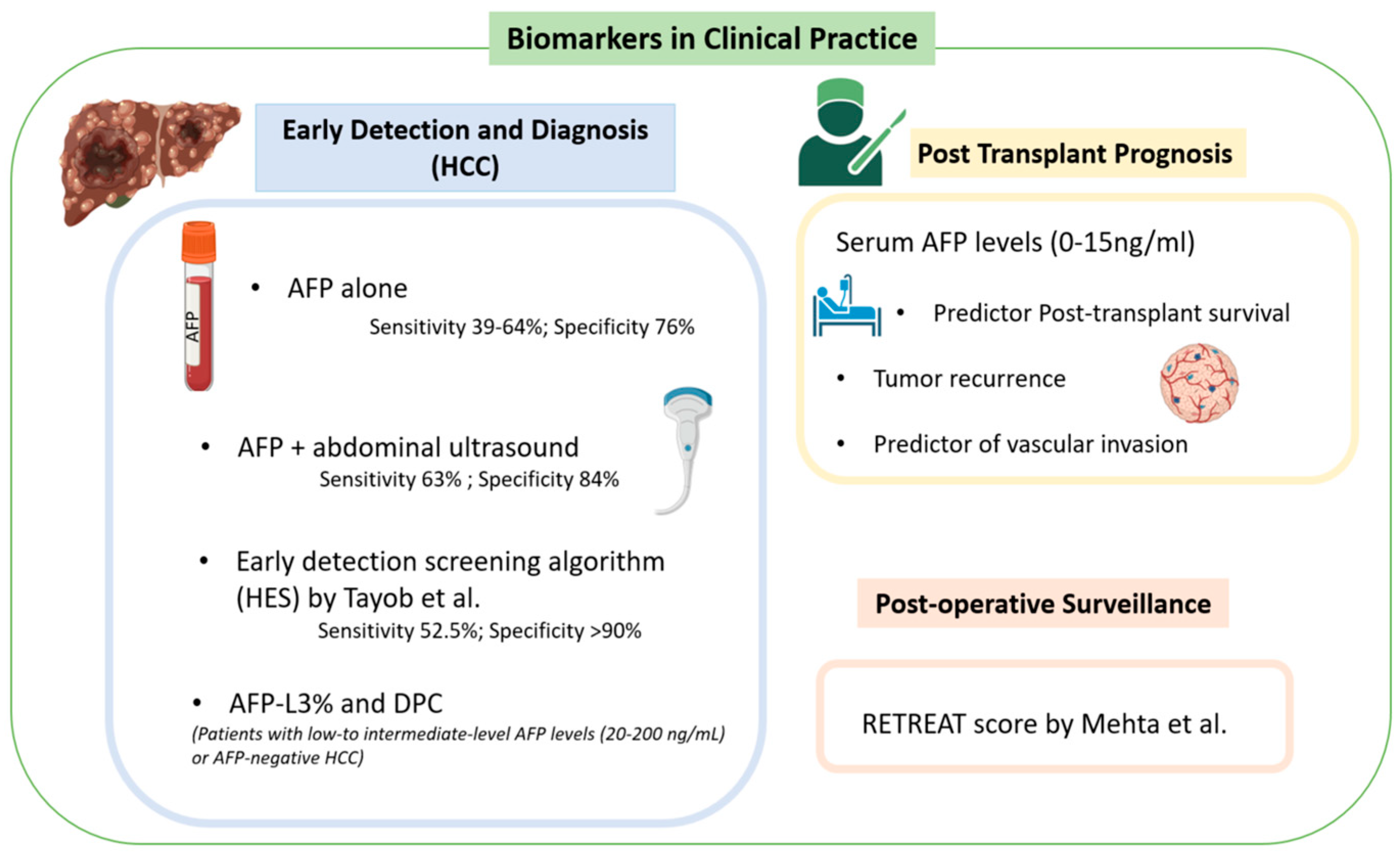 Cancers 16 01453 g001