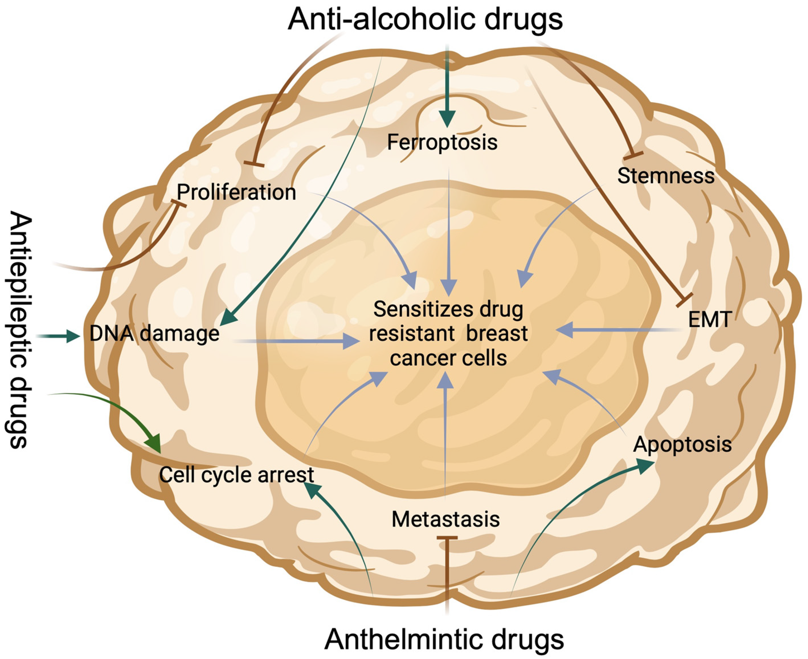 Cancers 16 01463 g001