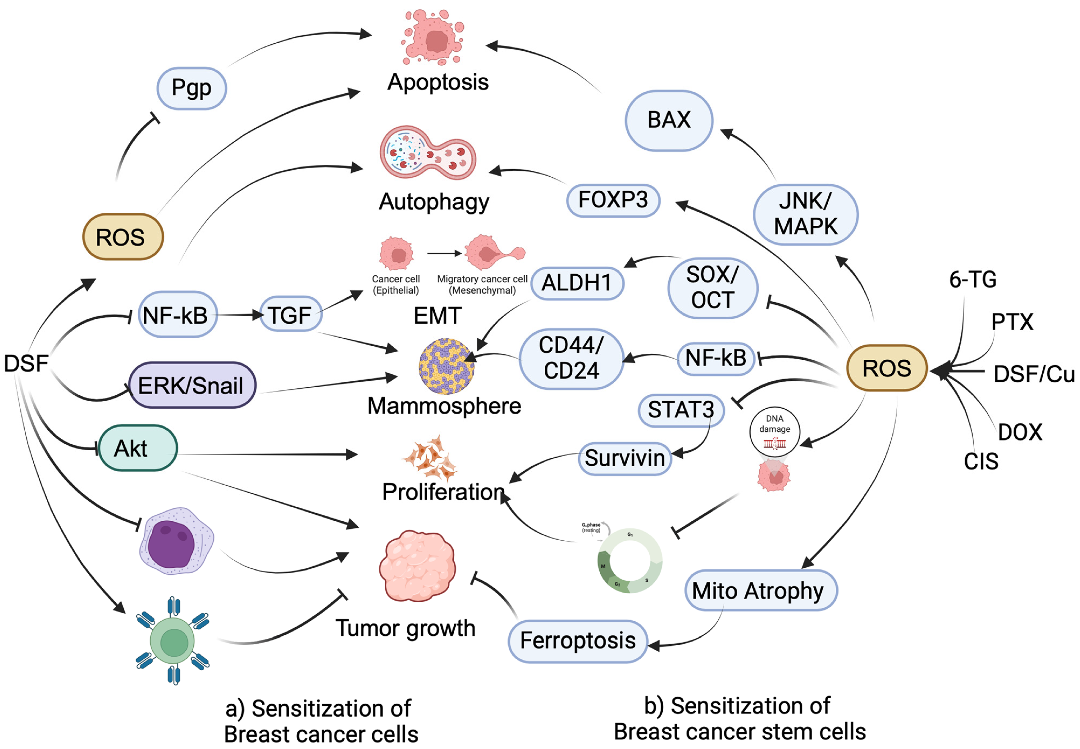 Cancers 16 01463 g002