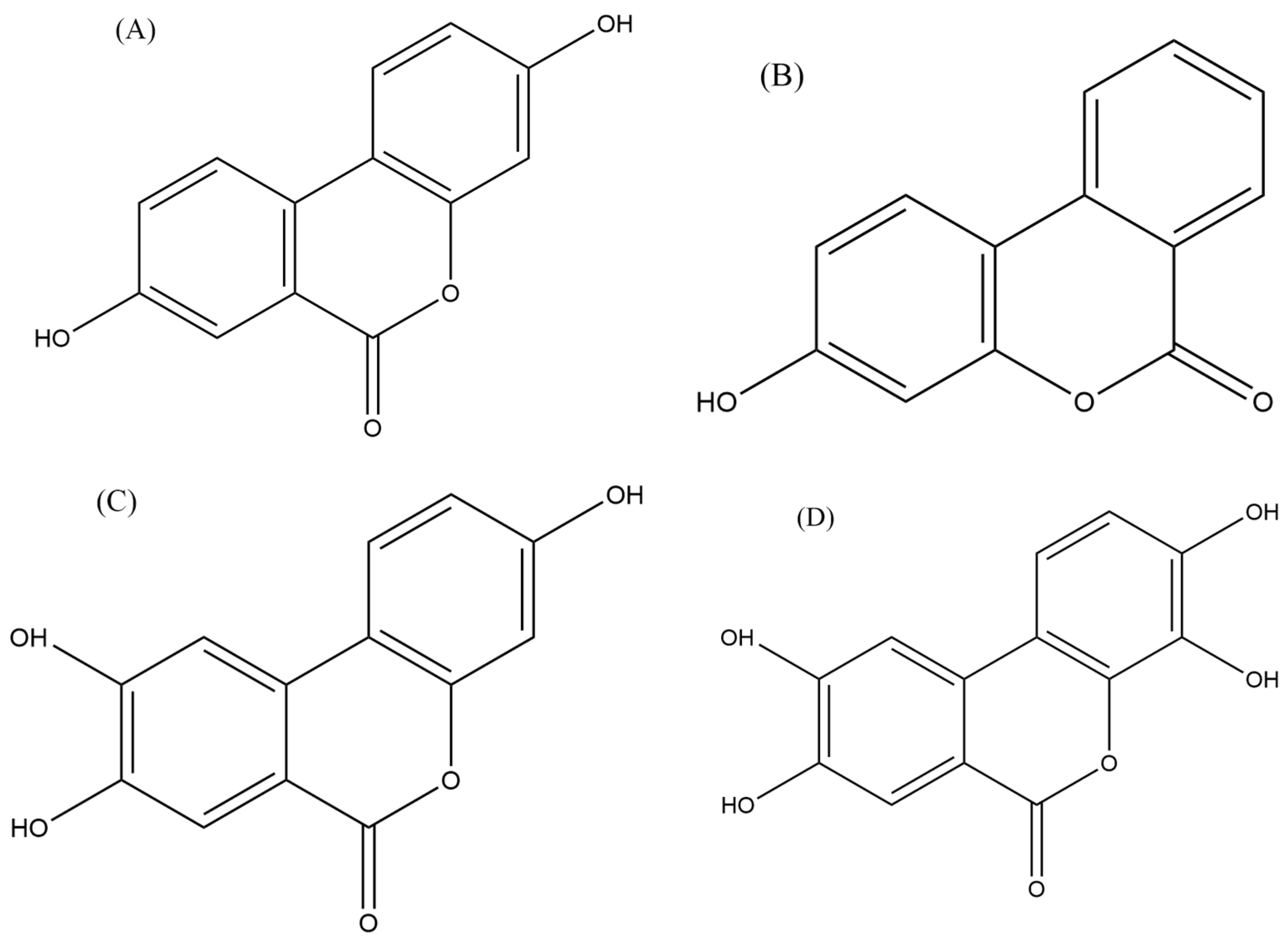 Cancers 16 01464 g004 Cancers 16 01464 g004