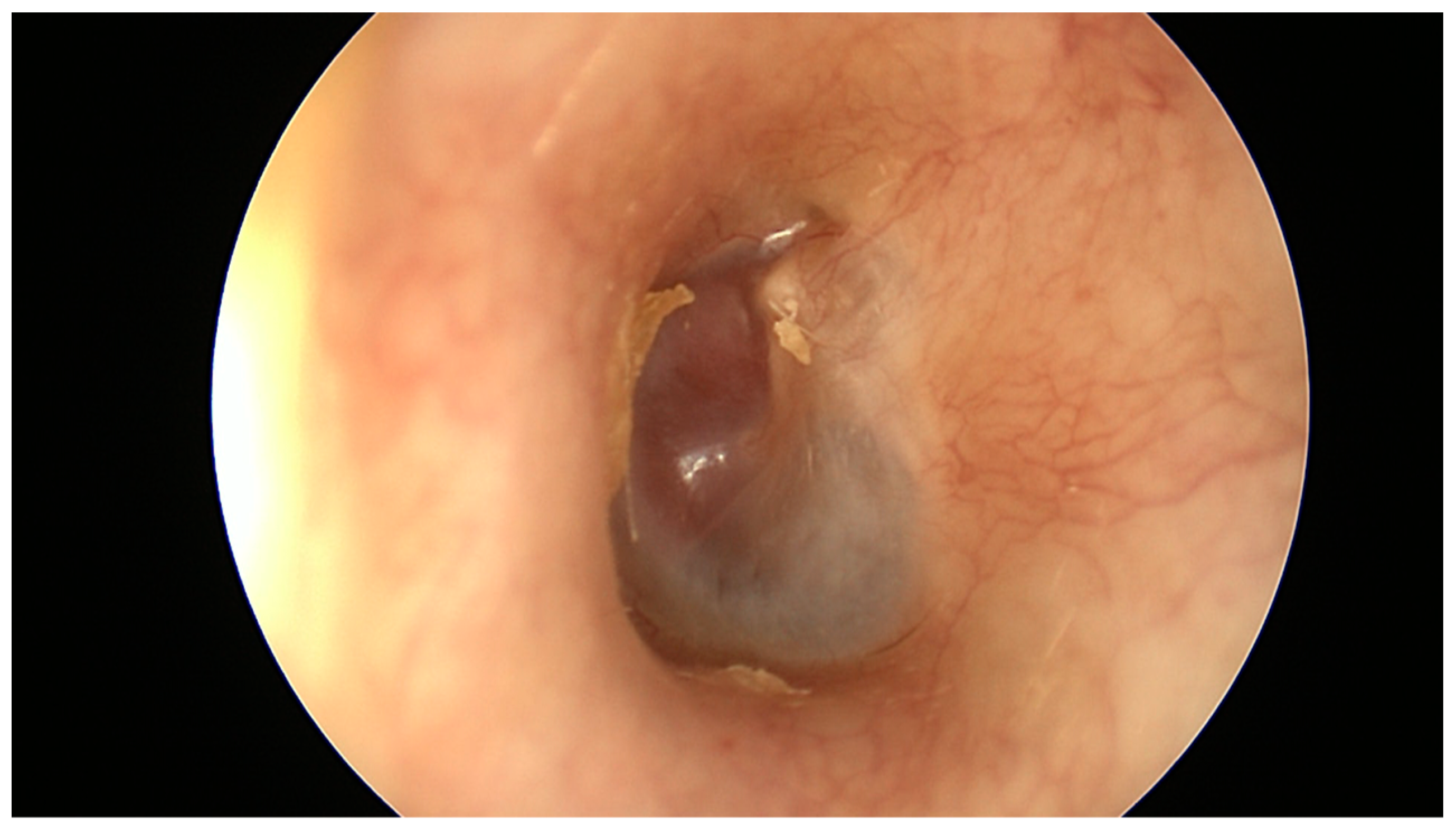 Cancers 16 01466 g001