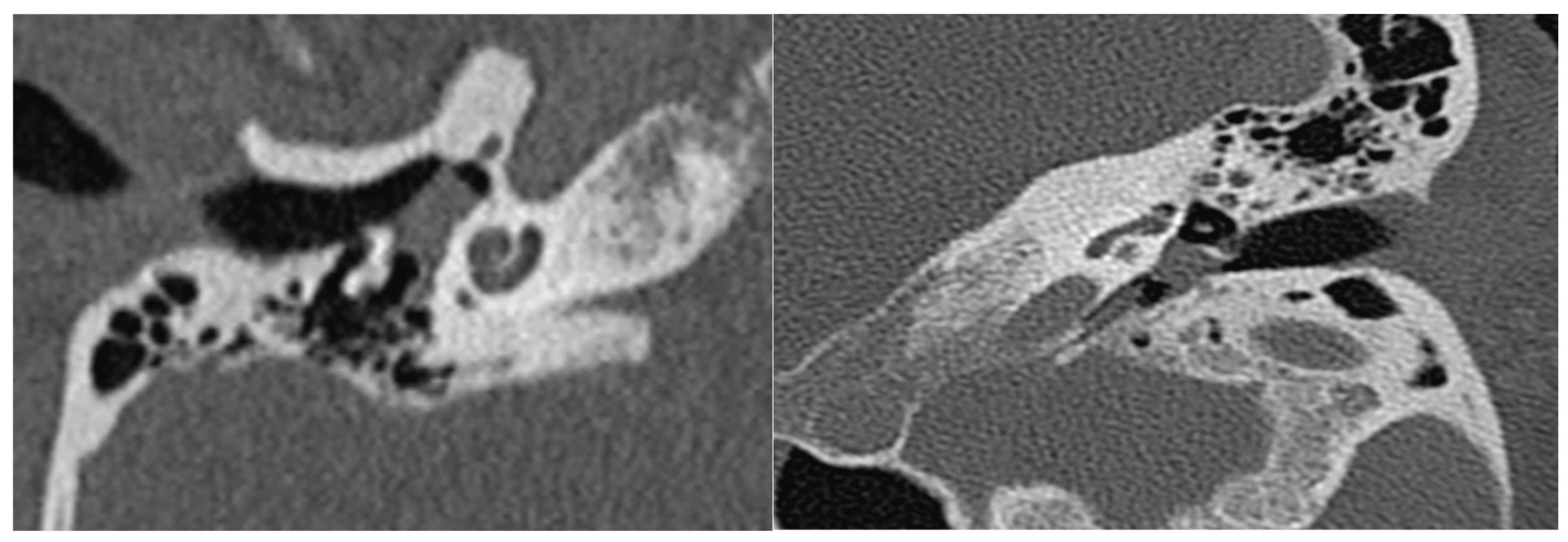 Cancers 16 01466 g002