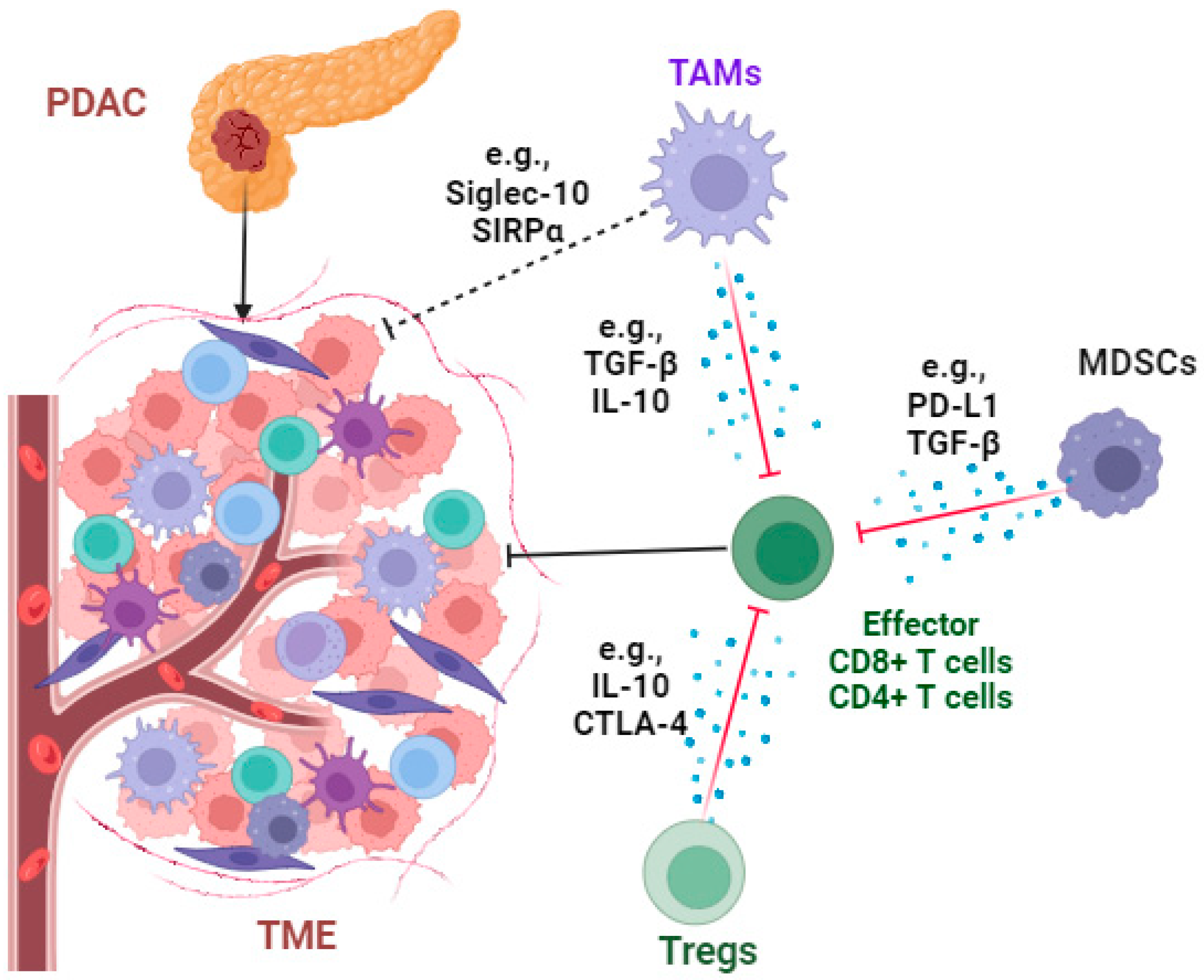Cancers 16 01470 g003