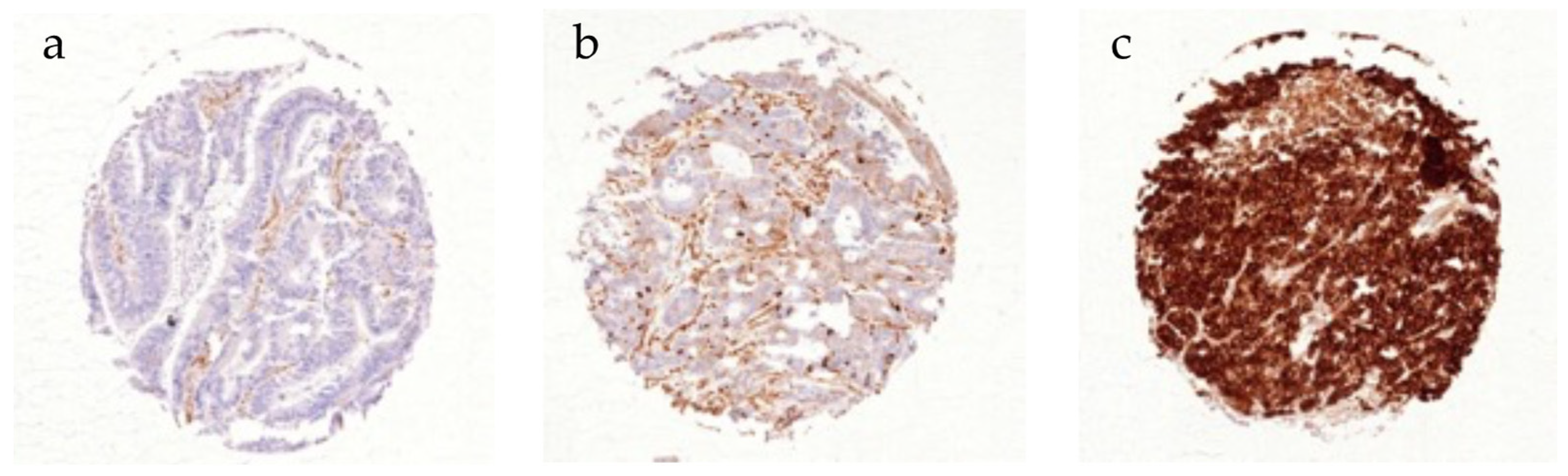 Cancers 16 01473 g001