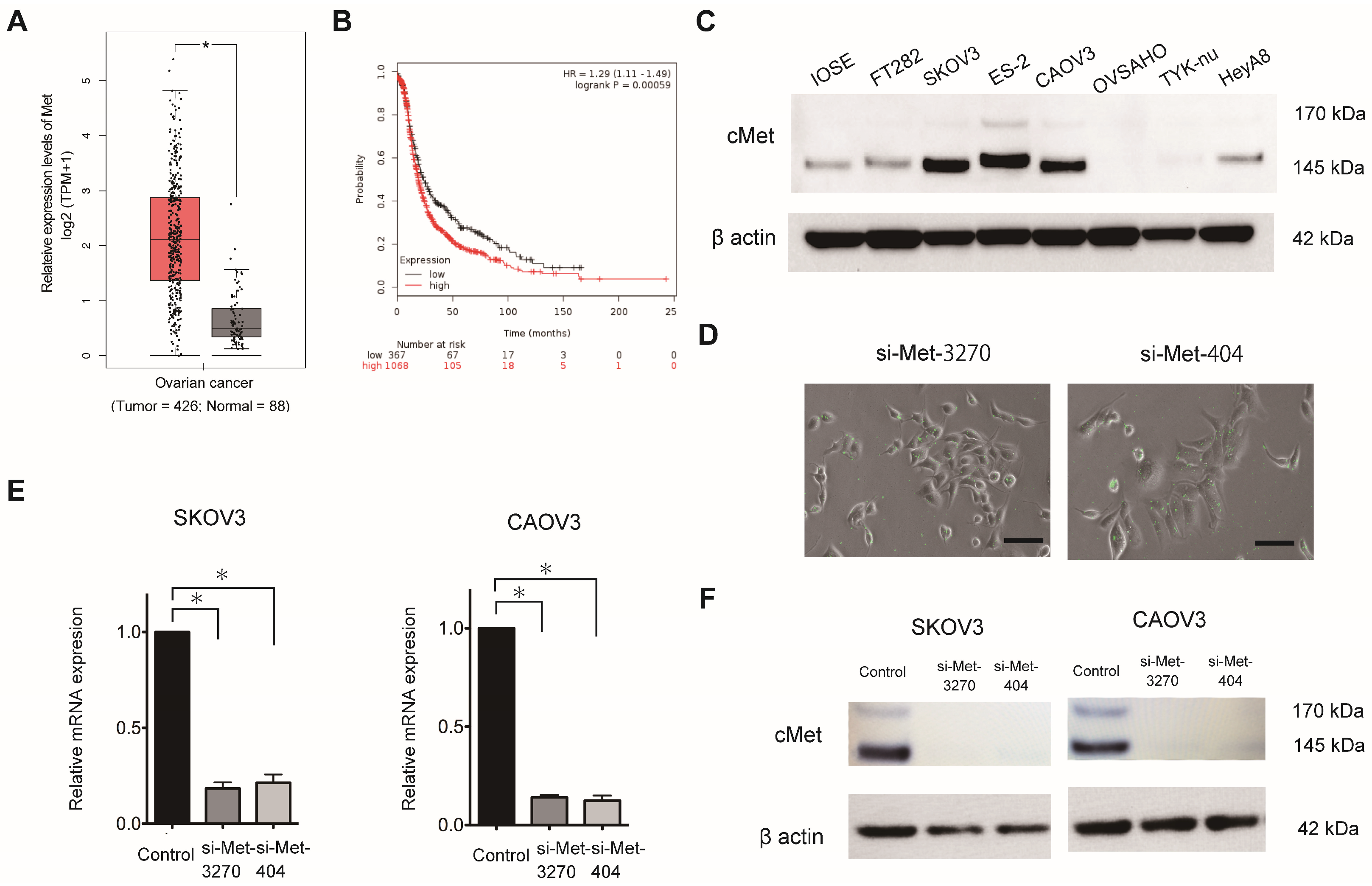 Cancers 16 01482 g001