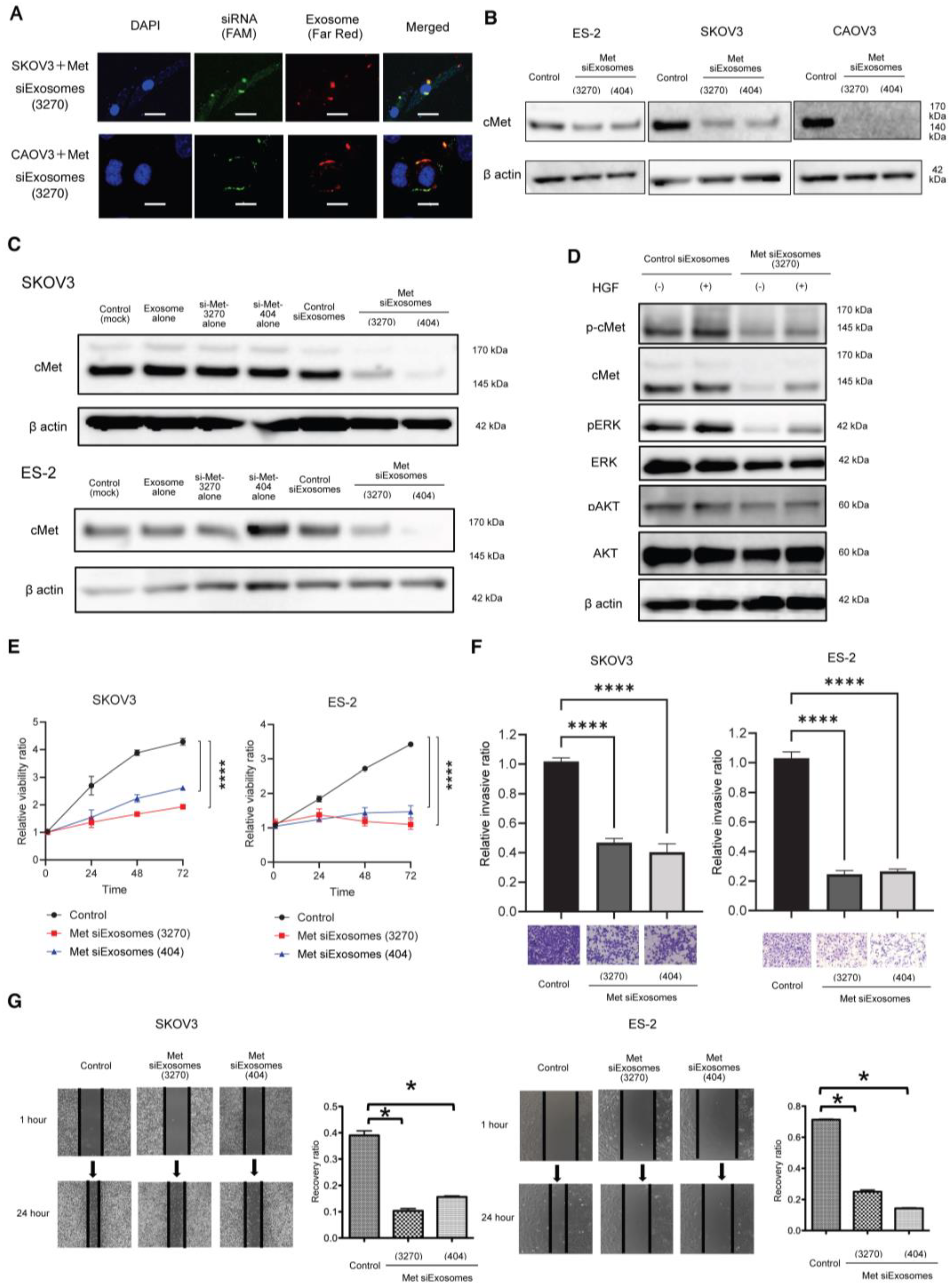 Cancers 16 01482 g003