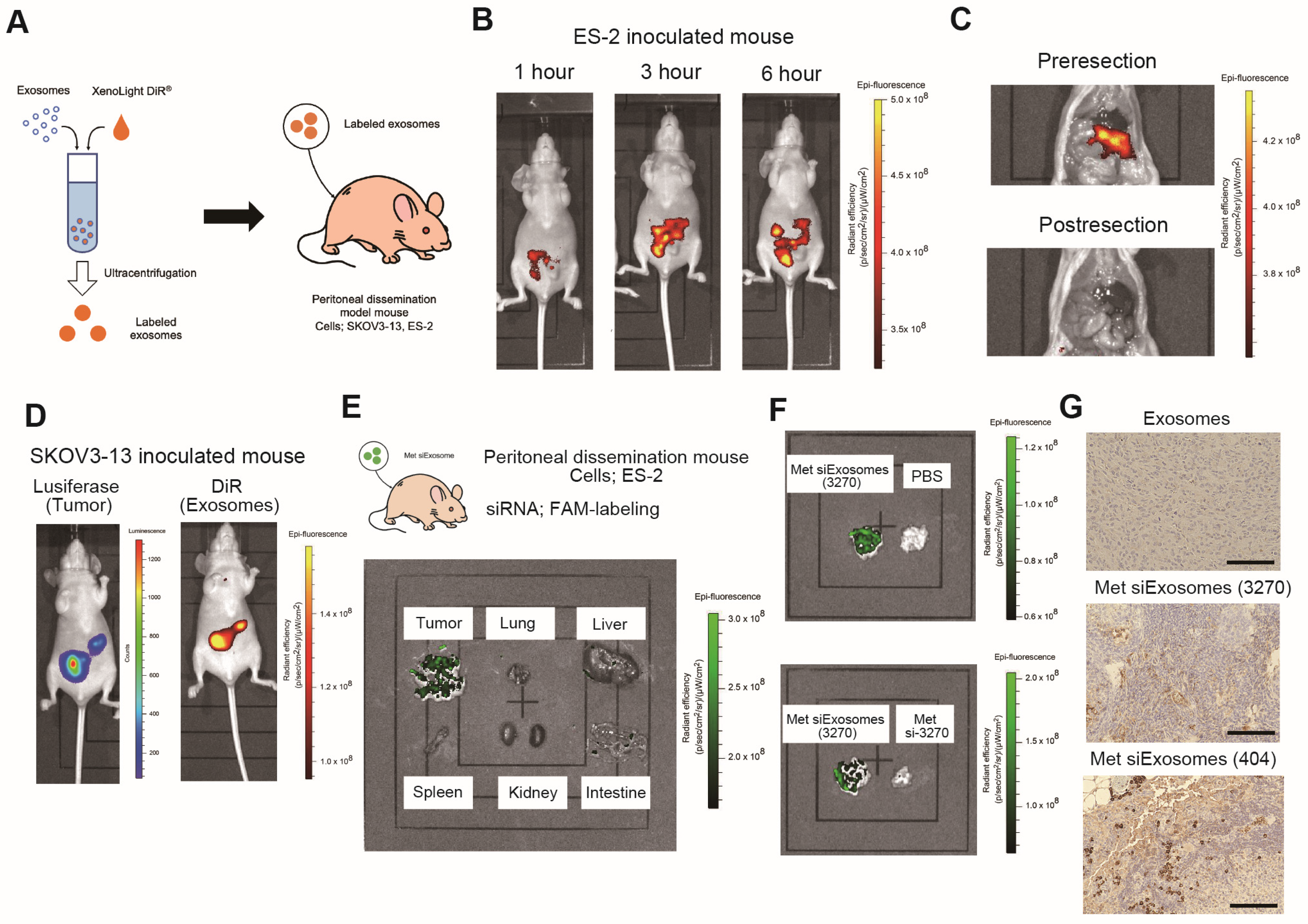 Cancers 16 01482 g004