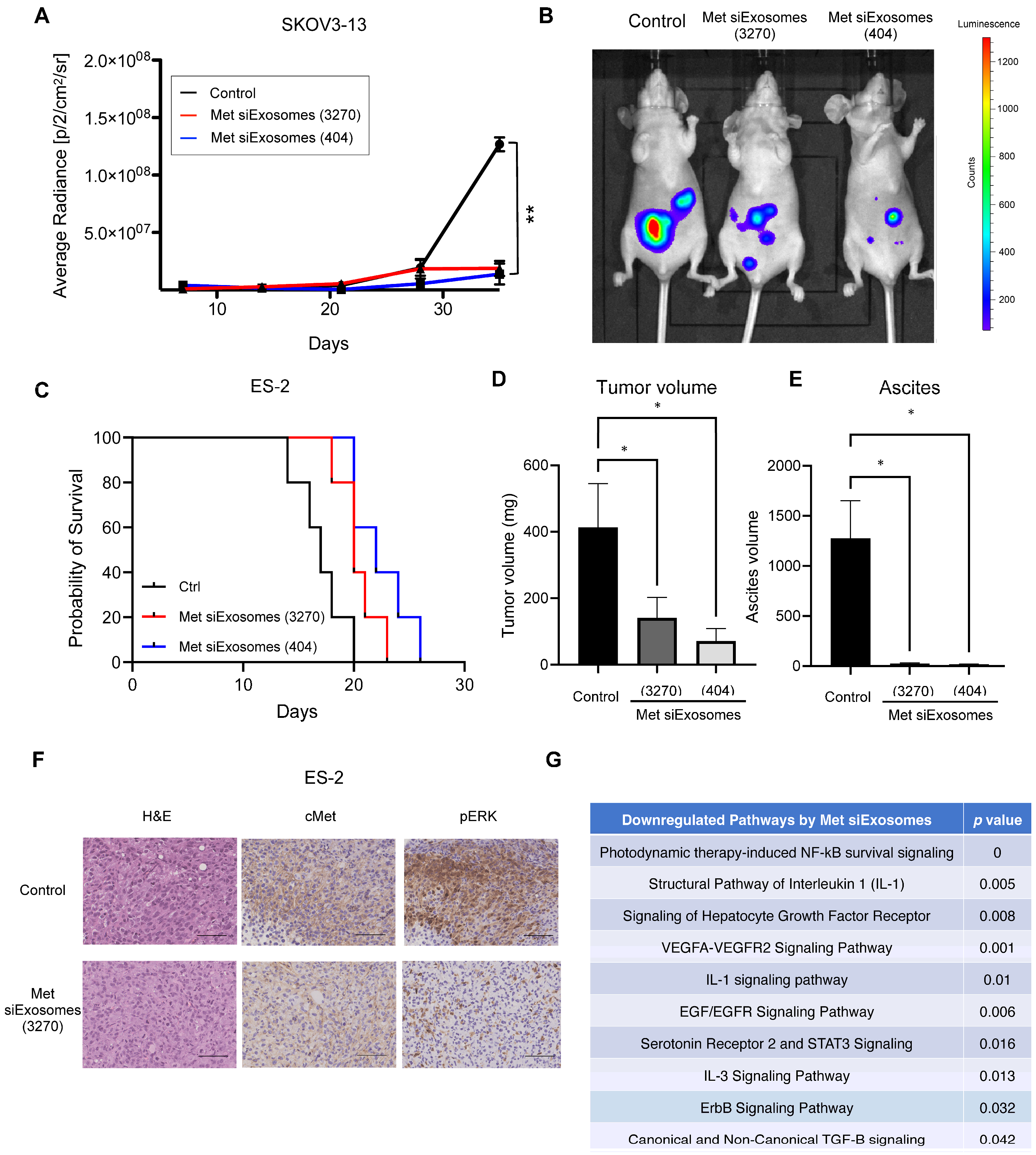 Cancers 16 01482 g005