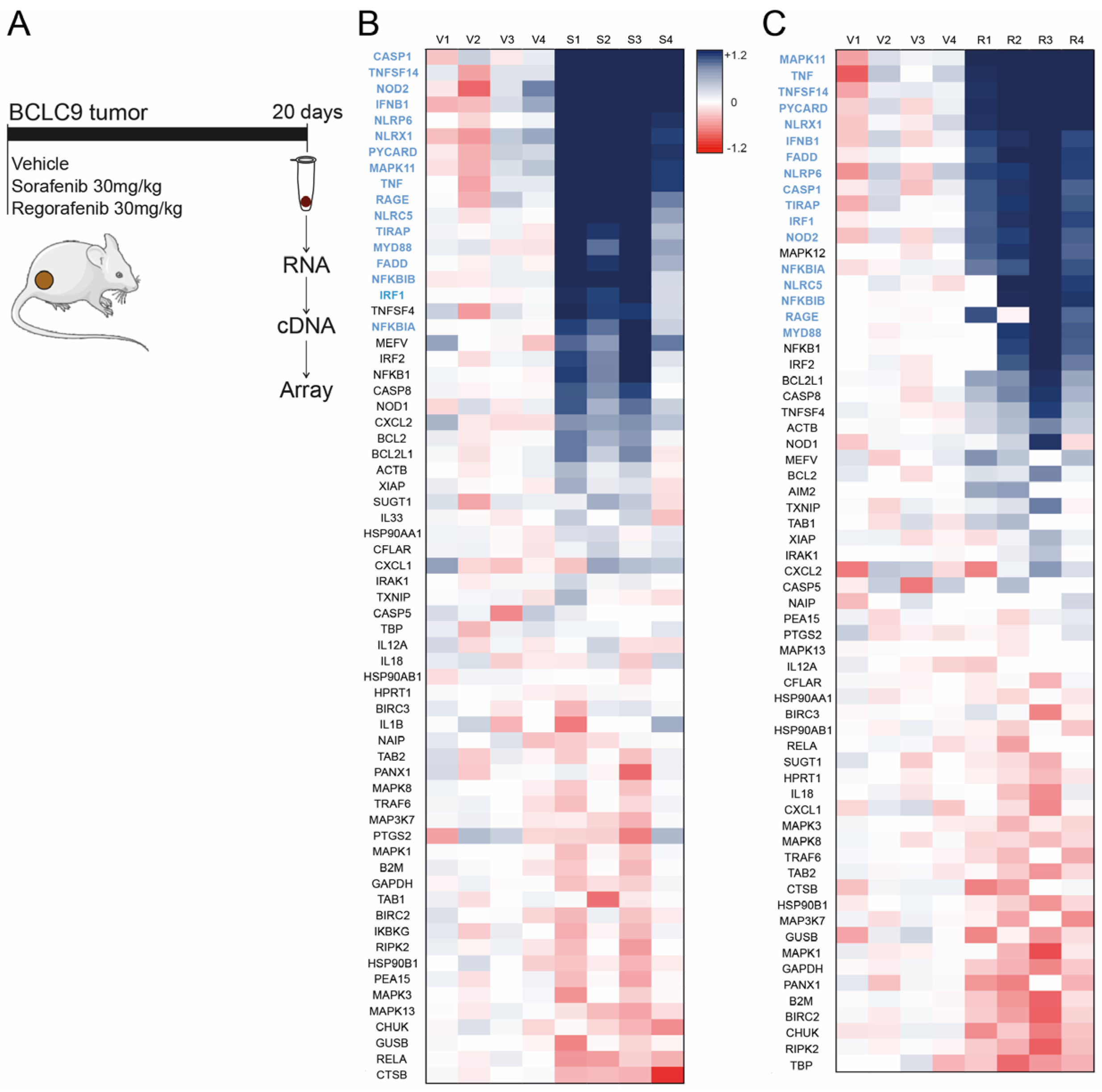 Cancers 16 01491 g001